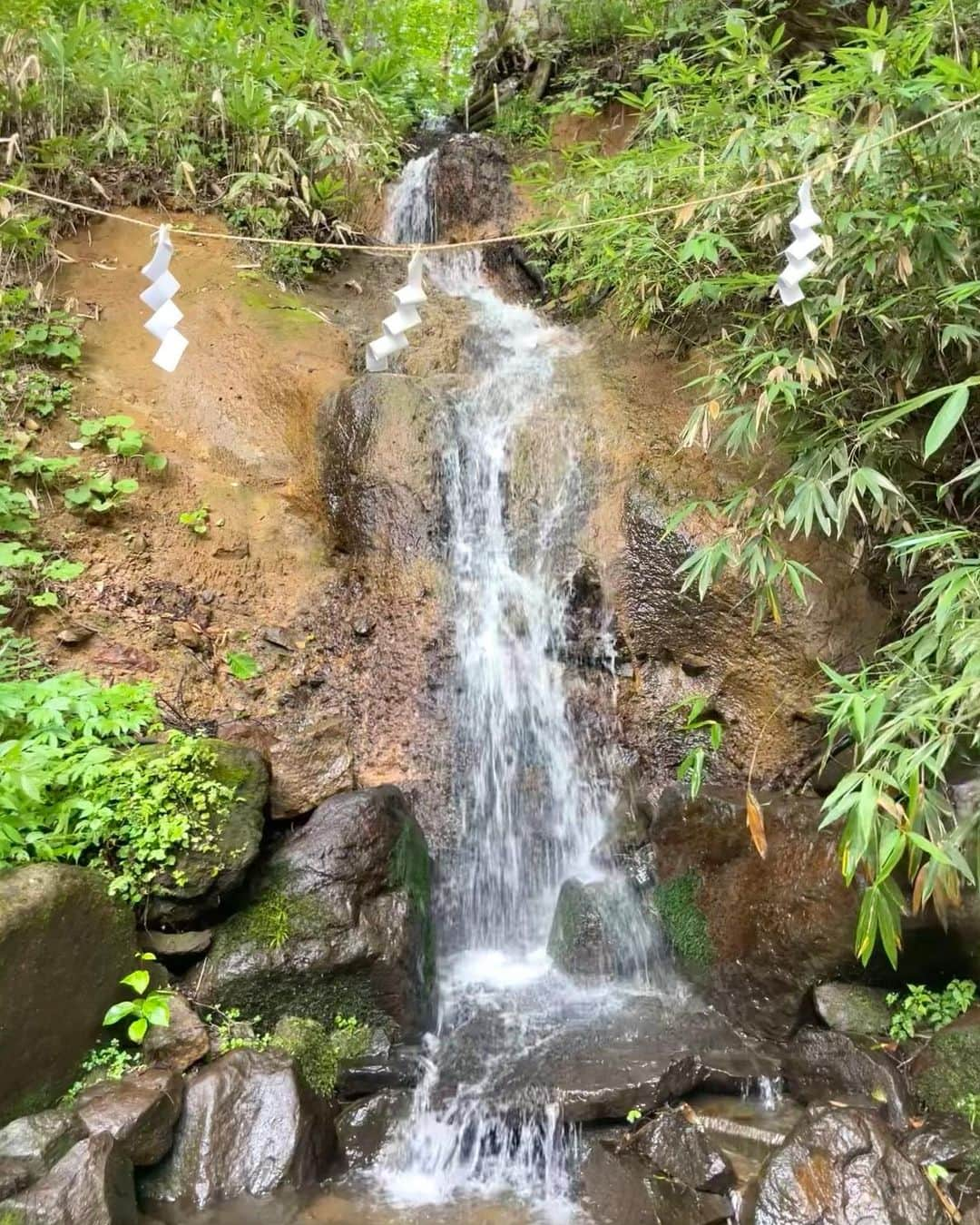 的場絢香さんのインスタグラム写真 - (的場絢香Instagram)「// #旅したがーる // ⁡ 長野県の戸隠神社5社巡り⛩️ ⁡ たくさん歩いて参拝🙏🏻✧ 中でも奥社参道の巨大な杉並木は圧巻でした🌳🌳🌳 ⁡ 戸隠は標高が高いから夏でも涼しい！ 風が心地よかった~🍃 ⁡ 8年ぶりに行けた戸隠神社。 たっっっぷりパワーチャージしてきました！✨ いいことありますように♡♡♡ ⁡ _ _ _ ⁡#石川テレビ #ロケ #長野県 #戸隠神社」8月29日 19時37分 - ayaka_matoba