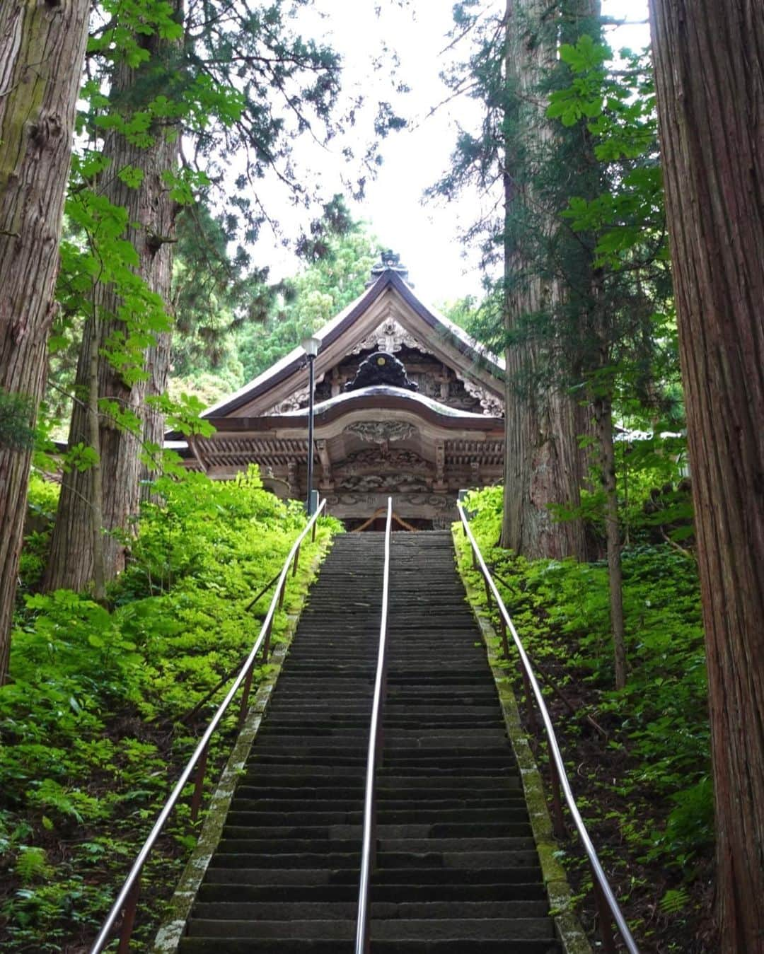 的場絢香さんのインスタグラム写真 - (的場絢香Instagram)「// #旅したがーる // ⁡ 長野県の戸隠神社5社巡り⛩️ ⁡ たくさん歩いて参拝🙏🏻✧ 中でも奥社参道の巨大な杉並木は圧巻でした🌳🌳🌳 ⁡ 戸隠は標高が高いから夏でも涼しい！ 風が心地よかった~🍃 ⁡ 8年ぶりに行けた戸隠神社。 たっっっぷりパワーチャージしてきました！✨ いいことありますように♡♡♡ ⁡ _ _ _ ⁡#石川テレビ #ロケ #長野県 #戸隠神社」8月29日 19時37分 - ayaka_matoba