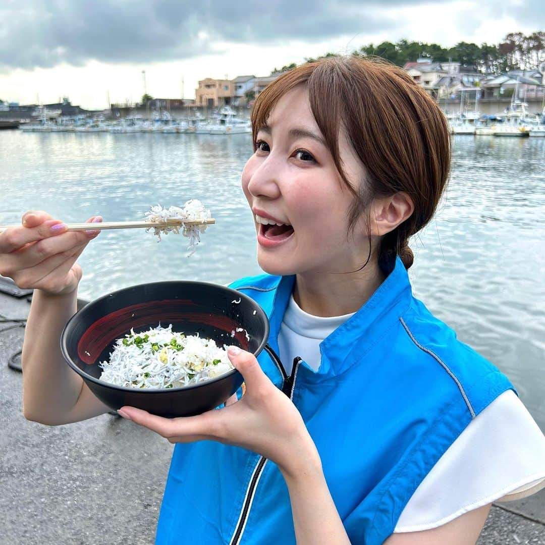 山﨑加奈のインスタグラム：「・ 昨日のTHE TIME,中継🐟 富士市の田子の浦港から、日本一の高値をつける"田子の浦しらす"をご紹介しました！  中継の15分前に獲れた超新鮮な生しらすをいただきましたが、、それはもうプリップリ🥹💖 生で食べられるのは、質の良い証拠です✨ 釜揚げしらすは当日獲れたしらすしか茹でることができないそうで、その場で作っていただきました☺️ なんて贅沢な食べ方なんでしょう🥲 釜揚げしらすはふっくらしていて、天然の塩気で最高の美味しさです👏  漁場の隣にある食堂でしらす丼はほぼ毎日食べられるので、みなさんも静岡の味覚ぜひ味わってみてください〜🩵 ・ #thetime_tbs  #静岡グルメ #静岡観光 #しらす丼 #赤富士丼 #生しらす #獲れたてピチピチ #静岡の美味しいモノ #アナウンサー #山﨑加奈」