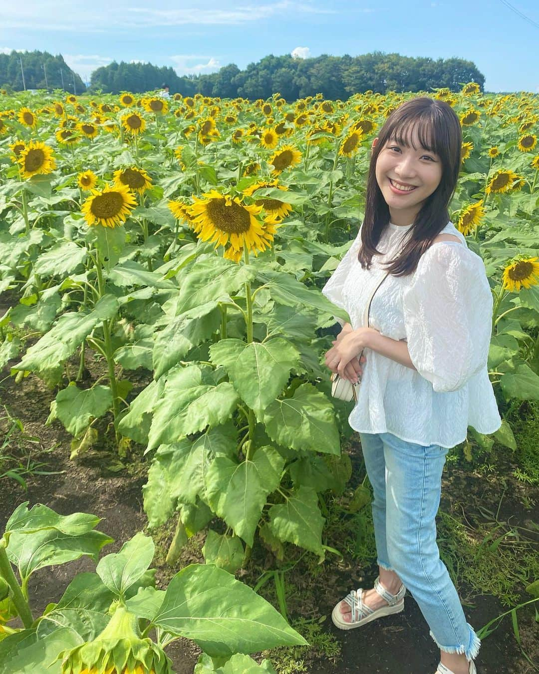 小林茉里奈さんのインスタグラム写真 - (小林茉里奈Instagram)「🌻 #ひまわり畑 に行ってきました♡ 1つだけにっこりひまわりちゃん発見…🤭💓  #茨城 #茨城観光  #那珂市」8月29日 19時56分 - marina_k224