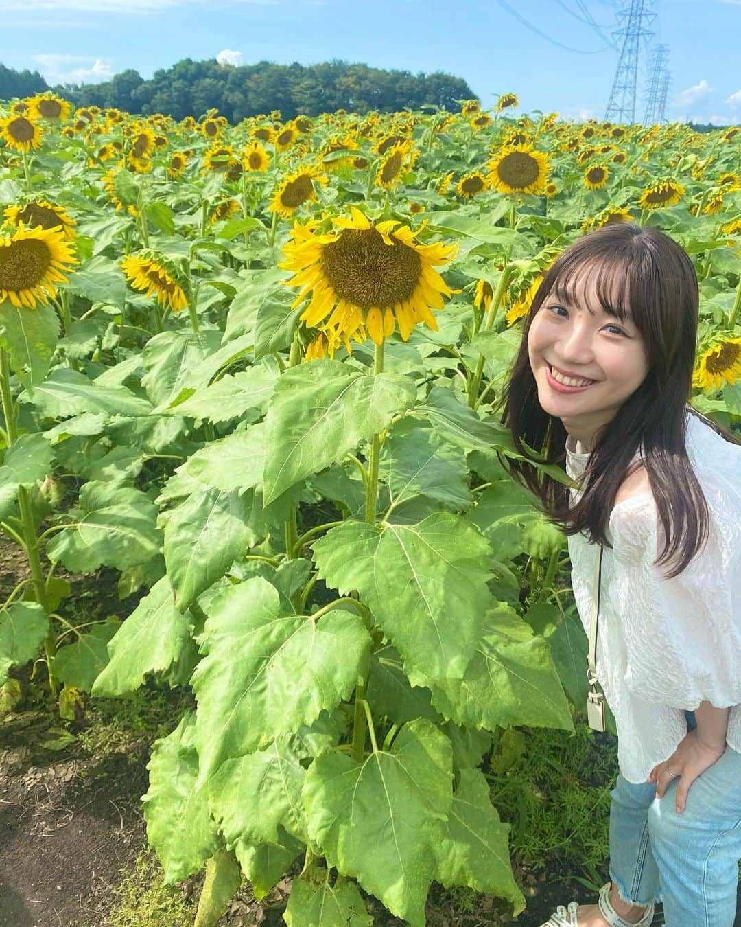 小林茉里奈さんのインスタグラム写真 - (小林茉里奈Instagram)「🌻 #ひまわり畑 に行ってきました♡ 1つだけにっこりひまわりちゃん発見…🤭💓  #茨城 #茨城観光  #那珂市」8月29日 19時56分 - marina_k224