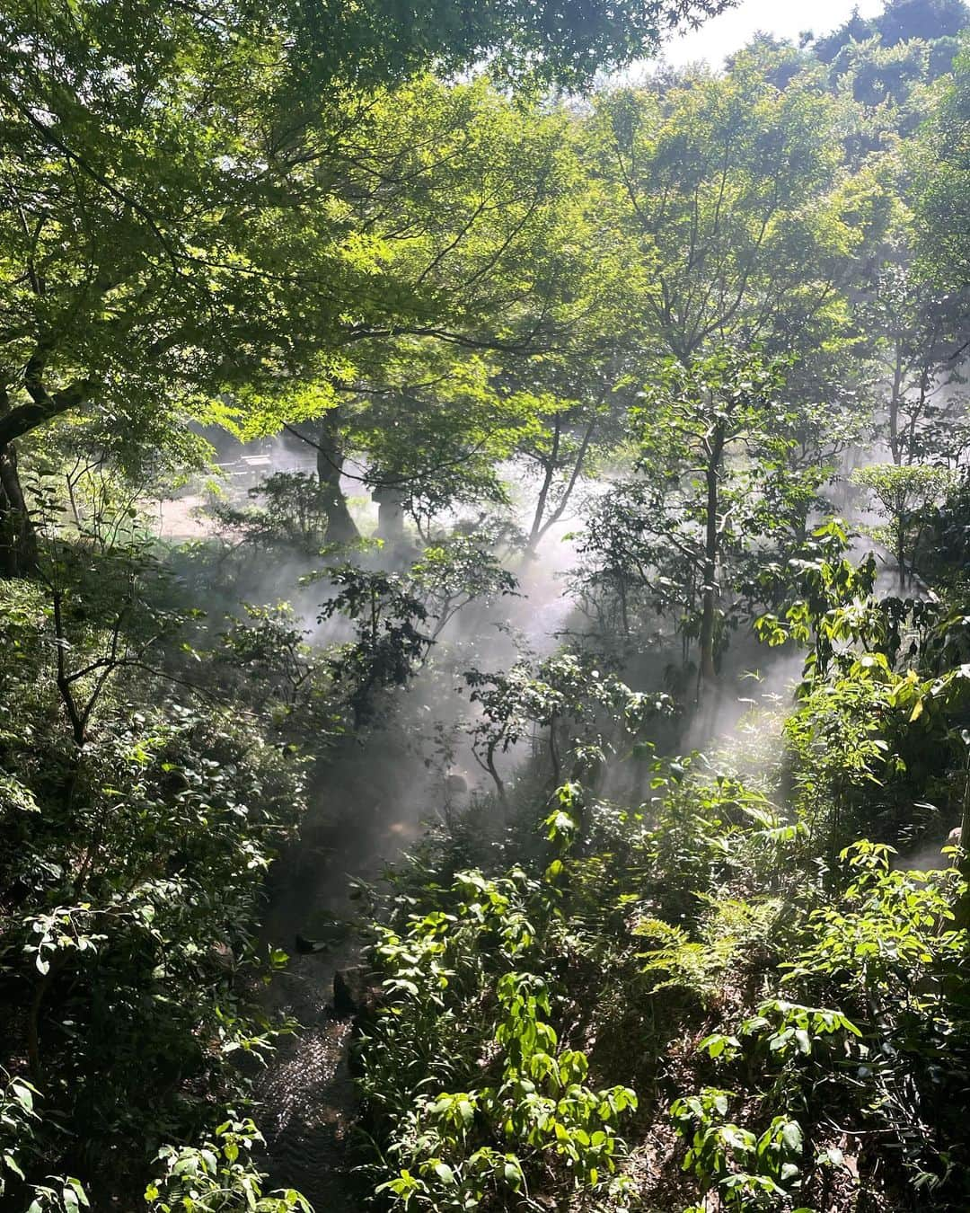 小高サラさんのインスタグラム写真 - (小高サラInstagram)「この夏は自然といっぱい触れ合った🍃 みんな夏なにしたの~~」8月29日 20時44分 - sara_odaka_official