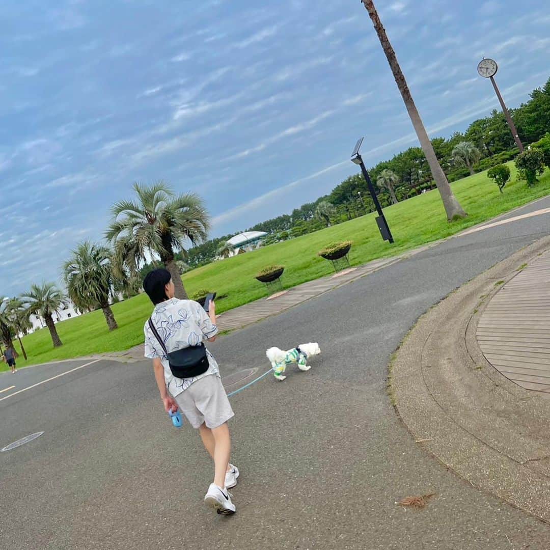 滝沢ななえのインスタグラム：「PERSONS＊training salonは 月曜日が定休日。  休みの日はできるだけ家族で過ごしたい。  ぼーちゃん、りーちゃんは 自分たちより短い犬生だから 休みの日は思う存分一緒にいたいなって。  この日は夏も最後だからって 海の方へ行こう！って お気に入りの辻堂海浜公園へ。  5:30に出発して朝んぽしてきました🐾  家の近くにはこんなに 芝生のたくさんある公園はないから こういうお散歩も最高だな〜と。  にっこにこお散歩してたし 楽しそうにお散歩してる姿と顔を見てるだけで こちらも幸せ。  1時間くらいお散歩したら お気に入りのカフェへ！  ちび達はカフェも大好きだから カフェでも終始にっこにこ。  ちょっとしたことで 大喜びしてくれるちび達を見てると 小さなことで幸せを感じられることの大切さを 教えてもらってるなと思う。  ちび達にとっては オヤツをもらうことも お散歩に行くことも 小さなことじゃないのかもしれないけど😊  短い犬生を楽しい！嬉しい！ だけのものにしてあげたいなって思う。 そのためにはまずは自分の心と身体が健康であること。  誰かを幸せにしたいと思ったら まずは自分が幸せであること。  自分の心と身体の健康が土台にあってこそ ちび達のことも守れる。 そして嬉しい！楽しい！だけの 犬生送ってもらえると 結構本気で思っています。」