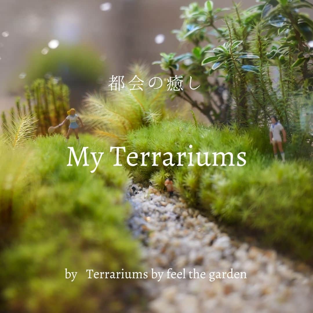 吉祥寺PARCOのインスタグラム：「都会の癒し My Terrariums🌱  あなたの部屋に、グリーンはありますか？ 一人暮らしだとなかなかお世話が大変で…という方も少なくないはず。 そんな方にもおすすめなのが、テラリウムです。  「都会のマンション等でも植物に囲まれた生活がしたい。忙しい毎日なので手入れは最小限で。出来れば鉢植えのように長く楽しみたい。」その解決策として苔テラリウムを提案しているTerrariums by Feel The Gardenをご紹介。 8月4日に、3Fから2Fに移転しました！  2〜7枚目： 小さな器に詰め込む自分だけの世界。 ミニフィギュアを入れればさらに雰囲気アップ。 創造力を駆使して自分だけの世界をつくろう。  8枚目： まずは毎日開催されている基本のワークショップにご参加ください。 お店のスタッフが丁寧に教えてくれるので初心者でも安心です。 集中して作業する時間はあっという間！ ワークショップは基本編以外に季節限定のものもあるので 店頭の案内やWEBサイトなどをチェックしてみてください。  9枚目： ご家庭で苔テラリウムを作ることができるキットも。 細かな道具も全て揃っているので、買い忘れがないのも嬉しい。  10枚目： 作るのが苦手！という人もご安心ください。 店内ではプロがつくったテラリウムも販売。  Terrariums by Feel The Garden 📍2F @feelthegarden  #Terrariums　#FeelTheGarden #テラリウム #ワークショップ #吉祥寺PARCO #吉祥寺パルコ  ※価格はすべて税込み ※フロア表記はすべて吉祥寺PARCO店」