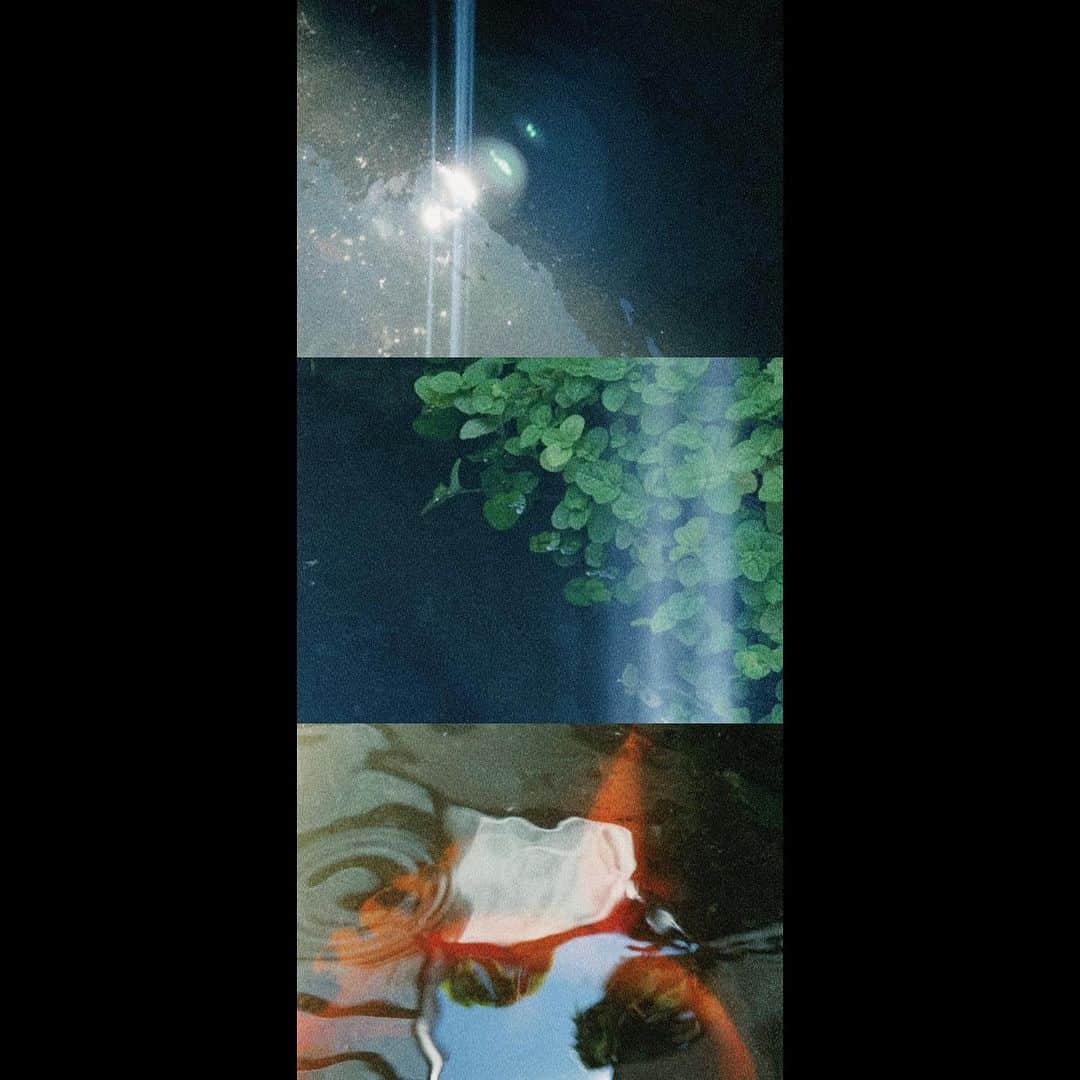 ウェイ・ルーシュエンさんのインスタグラム写真 - (ウェイ・ルーシュエンInstagram)「一瞬間會突然覺得好了。  帶著瑕疵的樣子獨處，反而更能享受在小小的快樂裡，但或許是補充了Ashwagandha和Neuro-Mag 的關係，「好了」的時間可以維持比較長。  香港演唱會的歌練完了，原本不知道要唱什麼廣東歌，一度還想放棄不唱，後來我還是選了一首經典的歌，好聽的。  我還有兩首新歌想唱給你們試聽，一首是你們朝思暮想的《好像好像》，另一首是你們沒有聽過的《我在紐約打電話給你》，一天唱一首。  來聽我唱歌吧，說不定你也會突然「好了」。  -  現在早上送路易去學校的時候，他已經可以用衝的進去排隊去公園玩的隊伍裡，他會回頭用他可愛的手和我揮揮手，我會對他手比愛心。  幼幼班的小寶寶在哭，有的邊哭邊走，有的緊抱著媽媽不放，慌張的父母和爺奶的表情我覺得很好看，喜歡他們此時此刻的內心活動，這些小寶寶嚎啕大哭的聲音和連話都說不清楚的抱怨，很好聽。  哭吧！只有小孩才能這樣哭泣而不被討厭，哭一哭就長大了，哭一哭就會「好了」。  -  我昨晚夢到有個陌生人給了我一塊淡紫色的水晶，他叫我握在手裡，他說如果有人很不好，可以邊握著邊想著他，我：「可以想自己嗎？」陌生人：「可以！你的手現在已經有力量了，你可以去觸摸別人，那個人就會好了！」  我醒來的時候在想，要怎麼觸摸，那我摸著自己的心唱歌的時候，聲音裡面有力量嗎？這樣就可以用聲音觸摸他們，他們也會「好了」對不對？」8月29日 21時10分 - waawei