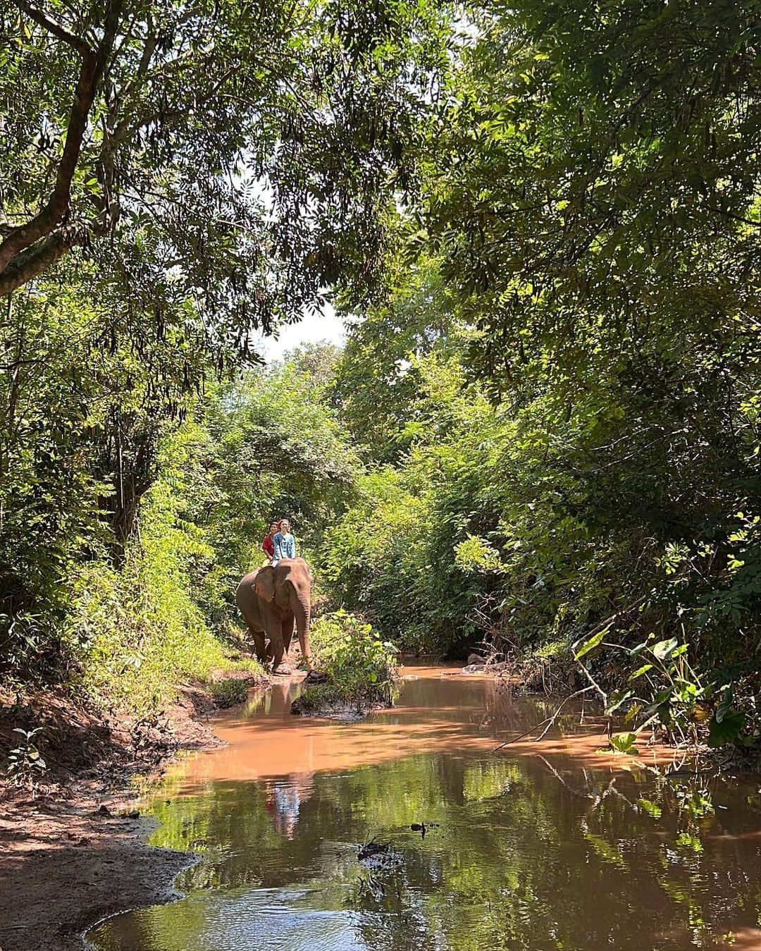 ガーダオ・メラニーさんのインスタグラム写真 - (ガーダオ・メラニーInstagram)「My Laos Trip🇱🇦📍💯 ラオスで象使いになってきました！🐘 また行きたいな🐾➰」8月29日 21時20分 - melaniegrdt