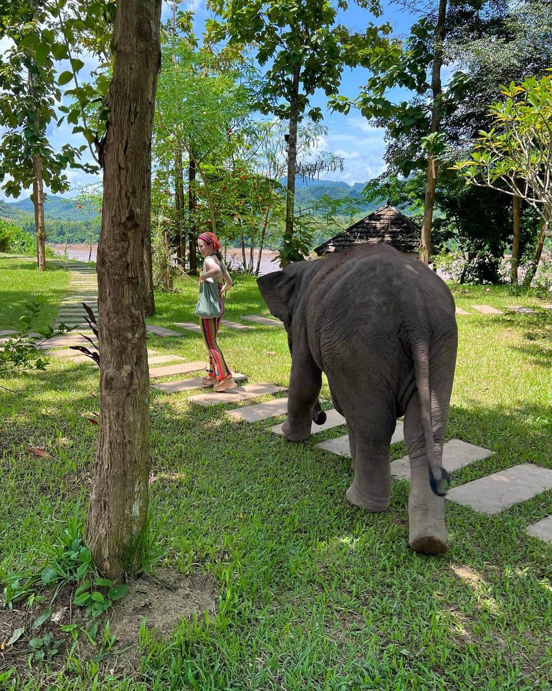 ガーダオ・メラニーさんのインスタグラム写真 - (ガーダオ・メラニーInstagram)「My Laos Trip🇱🇦📍💯 ラオスで象使いになってきました！🐘 また行きたいな🐾➰」8月29日 21時20分 - melaniegrdt