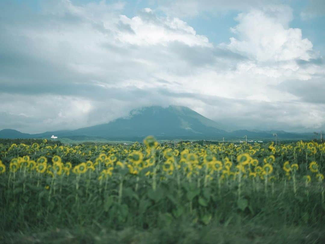 織田梨沙さんのインスタグラム写真 - (織田梨沙Instagram)「夏の大山さん⛰️ そして織田はどこでも踊る。」8月29日 21時15分 - oda_lisa