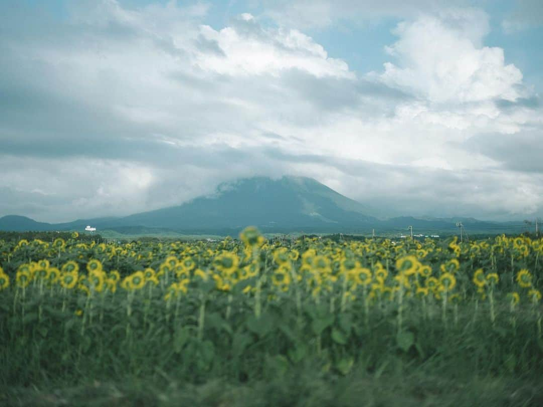 織田梨沙のインスタグラム：「夏の大山さん⛰️ そして織田はどこでも踊る。」