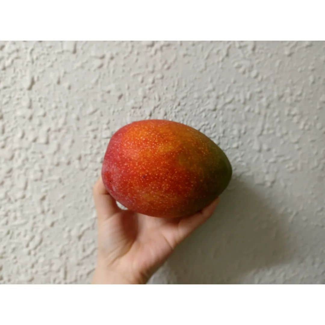 ぎぃ子のインスタグラム