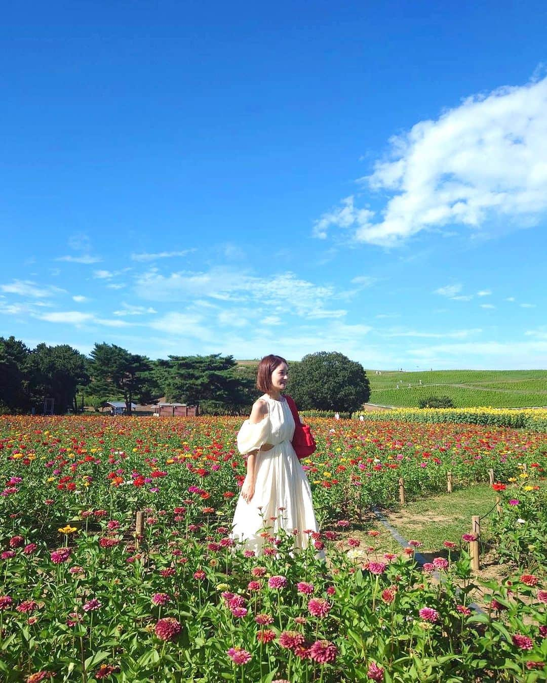 KAORI.OMURA 大村香織さんのインスタグラム写真 - (KAORI.OMURA 大村香織Instagram)「空が広〜い  夏もいよいよ終わり  そして今年も残すところ 4カ月  早いねー！  今年は やりたい事 去年に出来なかった事  挑戦できたかな？？？  私も まだやりたい事あるから 急がなきゃ。笑  ボヤボヤしてたら 1年なんて一瞬…  そろそろ2024年の 準備も必要だね😆  .....  美しく豊かに夢を叶えて行く場所（塾） Kaori塾　@kaorijuku   1dayレッスンは次回は9月末10月に予定 it's me講座は10月末11月にスタート予定  @kaorijuku の アカウントに、より早くお知らせが アップされるので気になる方はフォローお願いします  .....  #何の花だろ？？？ #青い空#国営ひたち海浜公園 #公園#アラフォー#自立#女性の生き方 #自由に生きる #40代女子#目標設定#なりたい自分」8月30日 8時04分 - kaori.omura