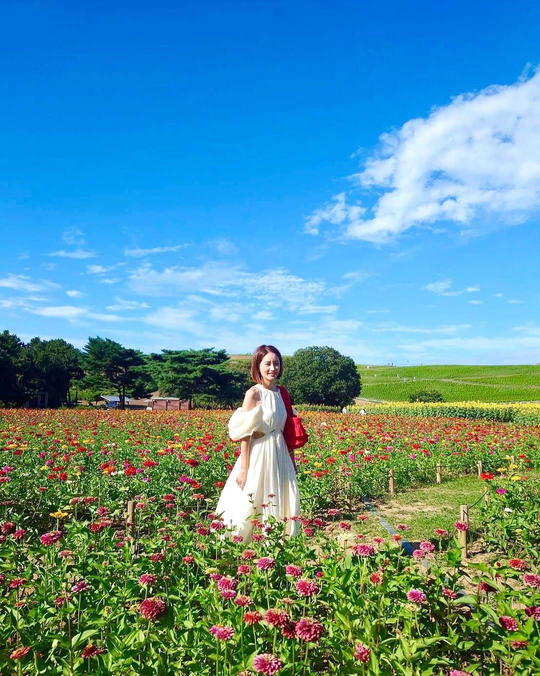 KAORI.OMURA 大村香織さんのインスタグラム写真 - (KAORI.OMURA 大村香織Instagram)「空が広〜い  夏もいよいよ終わり  そして今年も残すところ 4カ月  早いねー！  今年は やりたい事 去年に出来なかった事  挑戦できたかな？？？  私も まだやりたい事あるから 急がなきゃ。笑  ボヤボヤしてたら 1年なんて一瞬…  そろそろ2024年の 準備も必要だね😆  .....  美しく豊かに夢を叶えて行く場所（塾） Kaori塾　@kaorijuku   1dayレッスンは次回は9月末10月に予定 it's me講座は10月末11月にスタート予定  @kaorijuku の アカウントに、より早くお知らせが アップされるので気になる方はフォローお願いします  .....  #何の花だろ？？？ #青い空#国営ひたち海浜公園 #公園#アラフォー#自立#女性の生き方 #自由に生きる #40代女子#目標設定#なりたい自分」8月30日 8時04分 - kaori.omura