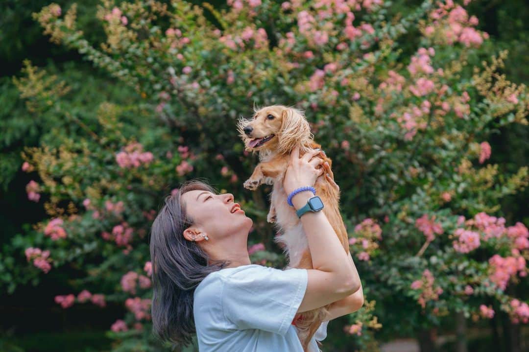 のインスタグラム：「ルナちゃん  先日、ルナを連れて… とある緑いっぱいのところで 写真を撮っていただきました～😆😆  どれもお気に入り 🥹🥹  @misaki_daisuke さん ありがとうございました😆😆  いっぱい写真あるのでちょくちょく載せていこーっと👉👉   #ミニチュアダックスフンド  #ミニチュアダックス  #minituredachshund   #カメラ  #familyphoto  #ルナと私」
