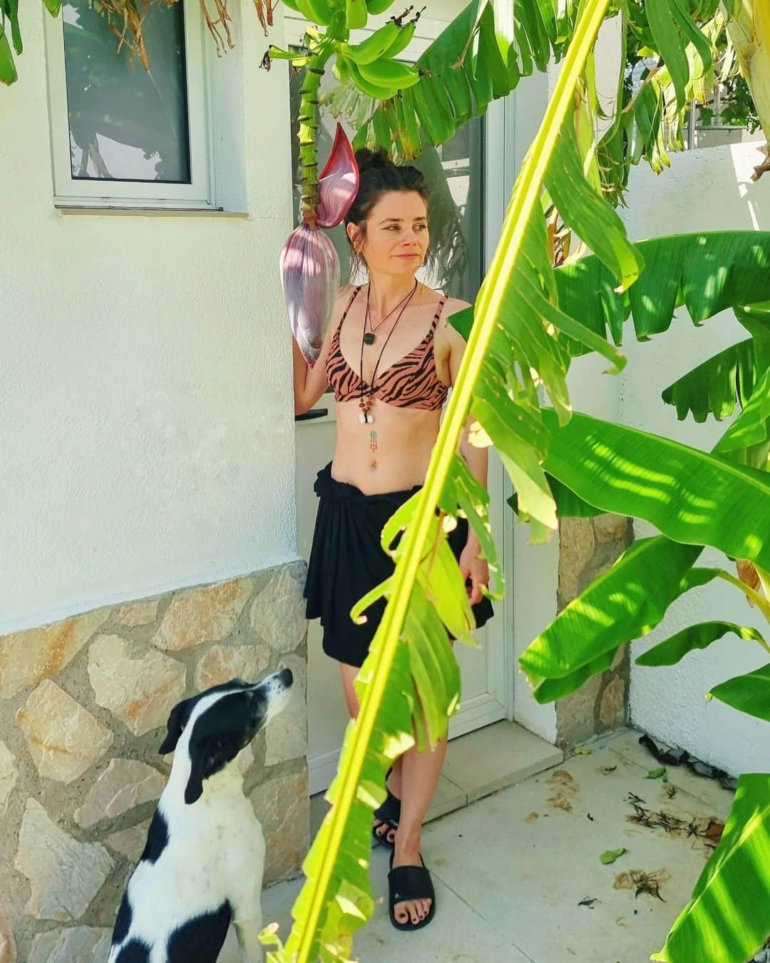 Joyce Ilgさんのインスタグラム写真 - (Joyce IlgInstagram)「Bananarama 🍌🍌🍌 @p4t_r1ck_ , Dexter & ich machen Urlaub in Papas Haus in Spanien & hier wachsen die Bananen einfach wie wild!  #vivaespaña #holidays #bananas」8月29日 23時43分 - joyceilg