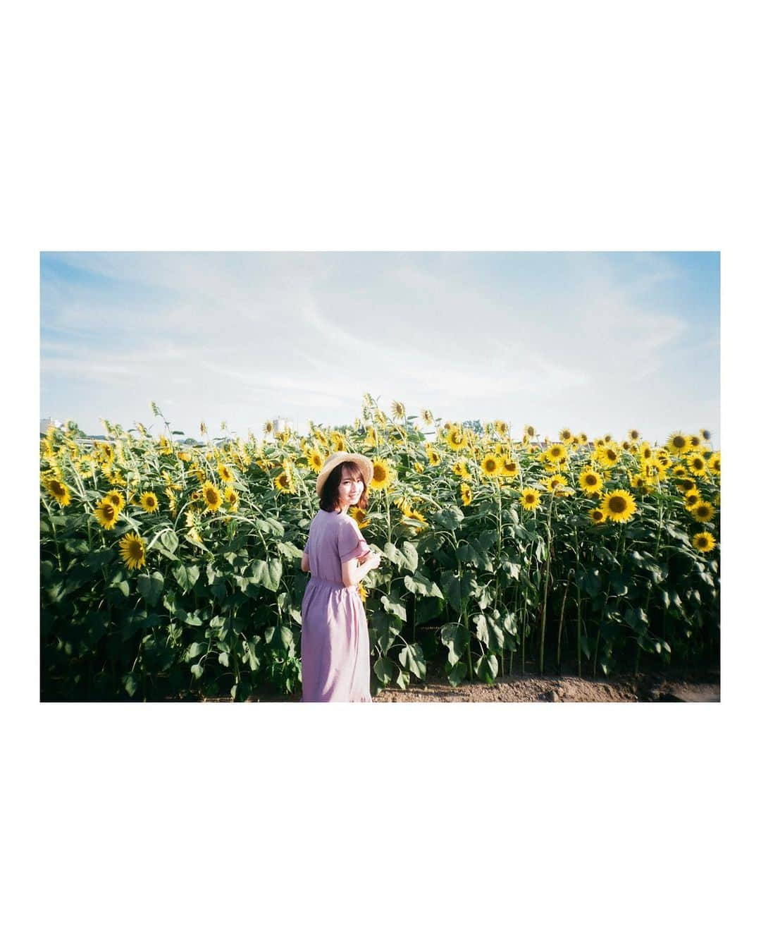 Yuma Takatsukiさんのインスタグラム写真 - (Yuma TakatsukiInstagram)「. . . summer🌻 . . . . . . 今日フィルムの話をしたけど やっぱりフィルムだから残せるものはあると思ってる。 ⁡ 自分の感覚の問題かもしれないけど 大切にしていきたい。 ⁡ それでは今日もお疲れさまでした！ . Hyogo／Japan . #フィルムカメラで残す日常  . ―――――――――――――――――――――――――― 関西を中心にフリーランスで活動しています。 Web広告、個人撮影、家族撮影、PR撮影など、 9月以降の撮影依頼募集中です。 ⁡ ⁡Yuma Takatsukiオリジナルプリセットも販売中です。 ⁡プロフィールのポートフォリオサイトからご覧下さい。  またフォトサークルITTOKOという活動をしています。 ⁡ハイライトに色んなイベントをまとめています。 ――――――――――――――――――――――――――」8月29日 23時45分 - yu_umaa06