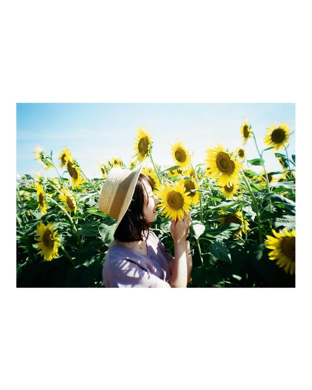 Yuma Takatsukiさんのインスタグラム写真 - (Yuma TakatsukiInstagram)「. . . summer🌻 . . . . . . 今日フィルムの話をしたけど やっぱりフィルムだから残せるものはあると思ってる。 ⁡ 自分の感覚の問題かもしれないけど 大切にしていきたい。 ⁡ それでは今日もお疲れさまでした！ . Hyogo／Japan . #フィルムカメラで残す日常  . ―――――――――――――――――――――――――― 関西を中心にフリーランスで活動しています。 Web広告、個人撮影、家族撮影、PR撮影など、 9月以降の撮影依頼募集中です。 ⁡ ⁡Yuma Takatsukiオリジナルプリセットも販売中です。 ⁡プロフィールのポートフォリオサイトからご覧下さい。  またフォトサークルITTOKOという活動をしています。 ⁡ハイライトに色んなイベントをまとめています。 ――――――――――――――――――――――――――」8月29日 23時45分 - yu_umaa06