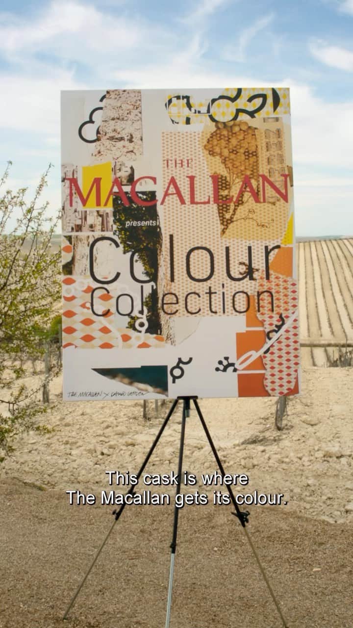 The Macallanのインスタグラム：「Introducing The Macallan Colour Collection, a travel exclusive Collection. A celebration of The Macallan’s commitment to Natural Colour and Sherry Seasoning, this Collection is designed in collaboration with the eminent artist and designer David Carson.   Comprising five expressions, aged from 12 Years Old to 30 Years Old, the Collection explores the rich spectrum of natural colours, flavours and aromas imbued by our exceptional sherry seasoned oak casks.  The Colour Collection will be available from The Macallan Global Boutiques, in key airports and selected duty free locations around the world from September 2023.   Discover more information on availability via the link in bio.   Crafted without compromise. Please savour The Macallan responsibly.  #TheMacallan #ColourCollection #DavidCarsonDesigner」