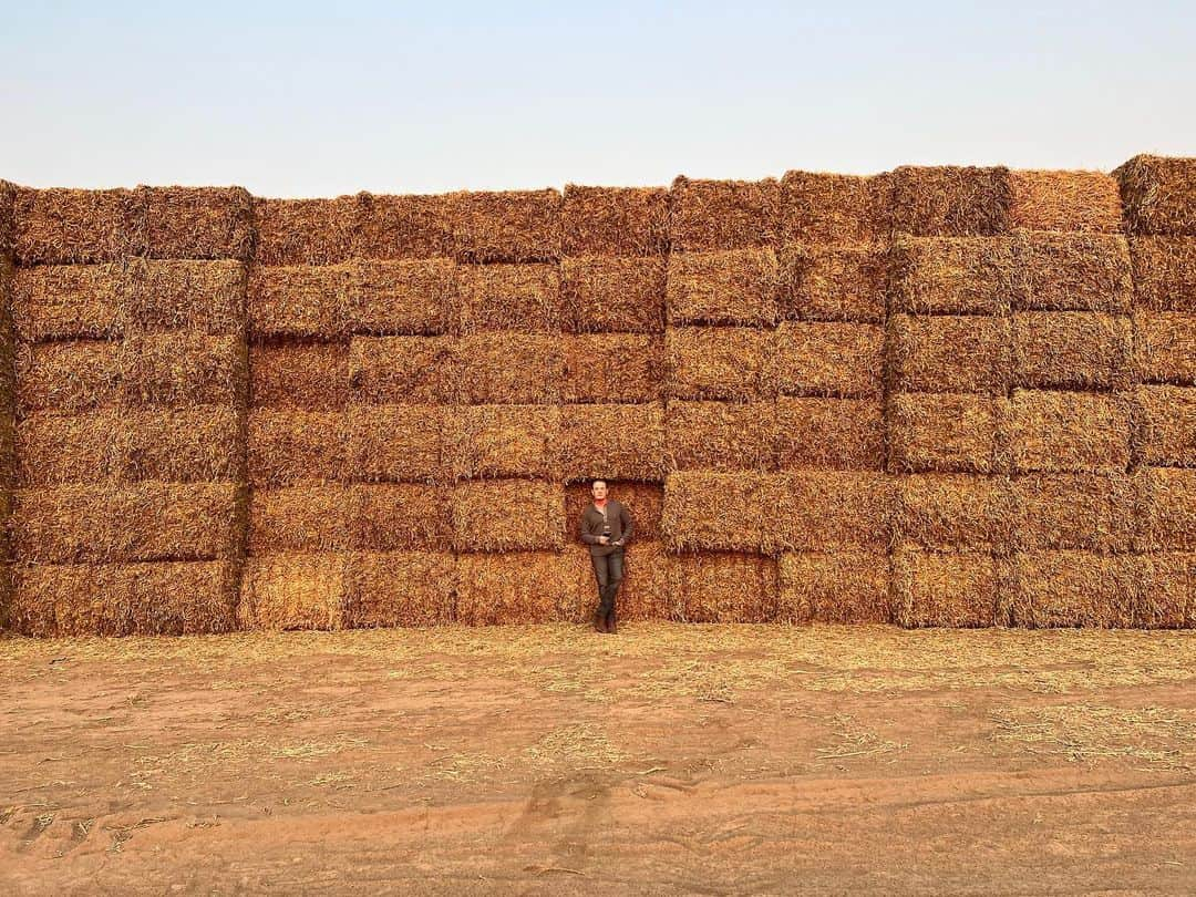 カイル・マクラクランのインスタグラム：「Make hay, I’m coming through and I might need some ex-straw wine to get through the week. Hay(ng) in there, my friends. 🌾🍷」