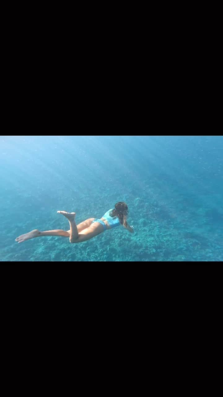 ジョアン・ディファイのインスタグラム：「Morning gift in Tahiti 💙🐳 @gopro」