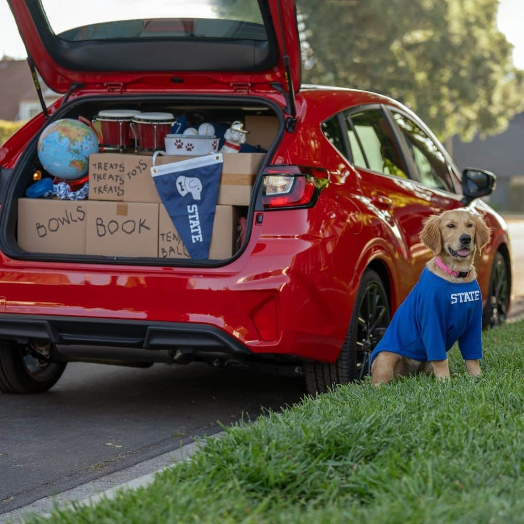 Subaru of Americaのインスタグラム：「The #TheBarkleys are getting ready to go #BackToSchool. What supplies would you pack in the Impreza RS? Comment below!  #DogTestedDogApproved #SubaruImpreza」