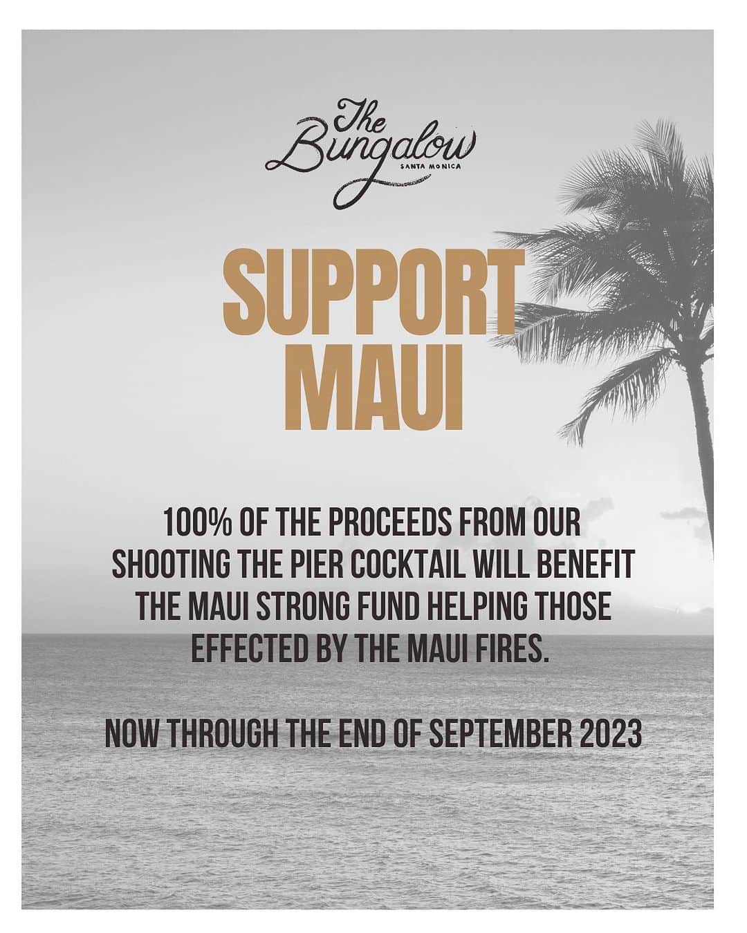 ジェイソン・モモアさんのインスタグラム写真 - (ジェイソン・モモアInstagram)「Our special Night Market Maui fundraiser was a night we'll never forget. BIG thank you to @prideofgypsies for coming down and supporting! 🫶 Now through the end of September, 100% of the proceeds from our Shooting the Pier cocktail will benefit the Maui Strong Fund helping those effected by the Maui fires (at all three of our locations: @thebungalowsm, @thebungalowhb & @thebungalowlb). #MeetMeAtTheBungalow 📷 : @vivienkillilea」8月30日 4時03分 - prideofgypsies