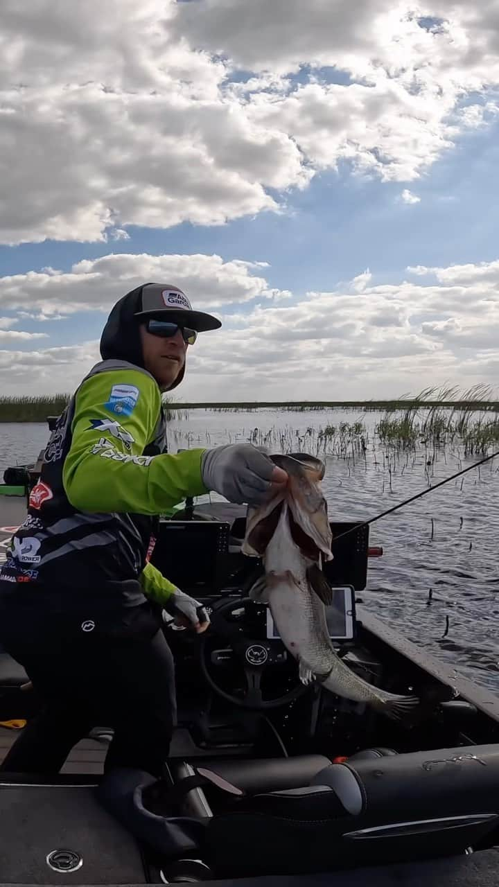 アブガルシアのインスタグラム：「There’s just something about a frog blowup.. 💥 @huntershryockfishing   Who else is itching to bend the rod on a giant frog fish?✋   #abugarcia #fishtowin #fishing #bassfishing」