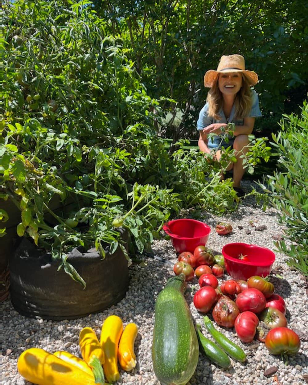 ジャーダ・デ・ラウレンティスさんのインスタグラム写真 - (ジャーダ・デ・ラウレンティスInstagram)「Garden harvest!! Excited to make my Zucchini Carbonara tmrw Live on YouTube at 3pm PST! Cook along & chat w/ me!!   https://www.youtube.com/live/k738UP7DYco?si=kKvyF9CidWQZHa0H」8月30日 6時28分 - giadadelaurentiis