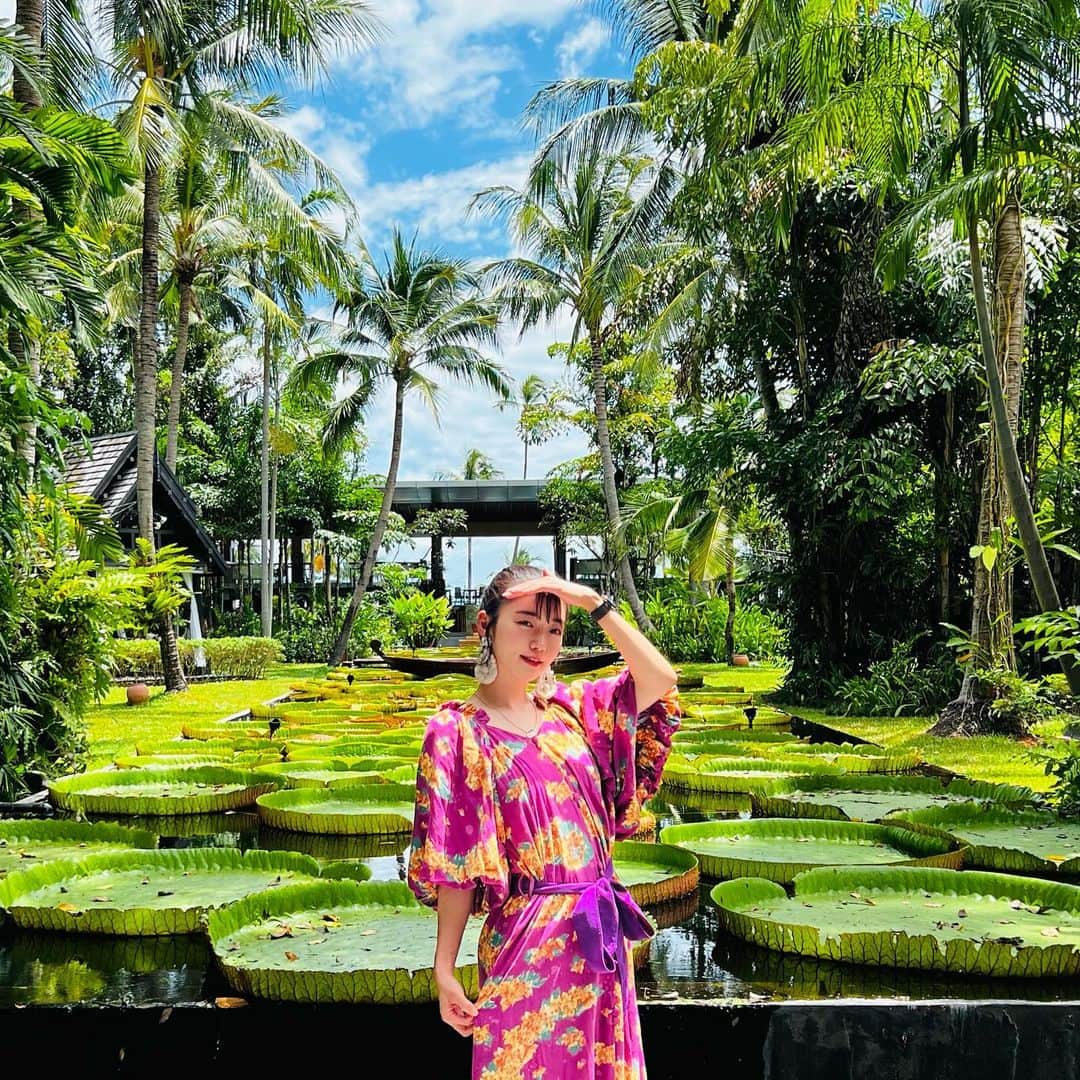 松嶋初音のインスタグラム：「タイに行くなら @vee_vl さんの@vlbyvee を着たい！とスーツケースに詰め込んできたこのワンピース。  生地の量がたっぷりあって柔らか。 着心地が良くて可愛くて大好き。  サムイ島の豊かな緑との相性が抜群でたくさん写真撮りたくなっちゃうね〜💖   #映えるホテル  #このあとビーチで美味しいビール飲んだ  #フリスビーしようとしたら足の裏剥がれるかと思うほど熱かった  #後ろの草なんですか」
