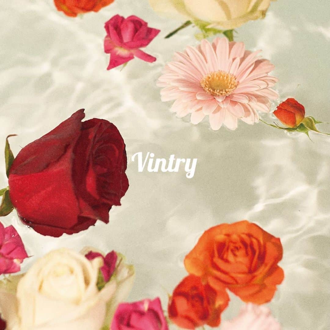 のインスタグラム：「ライフスタイルブランド「Vintry」について 大切なご報告がございます。  今年2月に立ち上げた、ライフスタイルブランド「Vintry」ですが、販売元会社の企業買収により、一時販売をストップせざるを得なくなってしました。  それに伴い、ブランド自体も一旦休止させていただき、また最善の形でリスタートさせたいと思っております。 ※オンラインショップにつきましては2023年8月31日でクローズとさせていただきます。ご了承いただけますと幸いです。  新商品の開発などを進めていた最中の突然の出来事だったので、私自身とても驚いたのと、立ち上げ僅か半年でこういう事になってしまい、悔しさと、楽しみにしてくださっていた方への申し訳ない気持ちでいっぱいですが、 またパワーアップして、Vintryを再開できるように精一杯努めてまいりたいと思いますので どうか、気を長くして待っていていただけたら嬉しいです。  これまでVintryを応援してくださった皆様に心より感謝いたします。  また皆様にお会い出来る日を楽しみにしています！  Dream Ami」