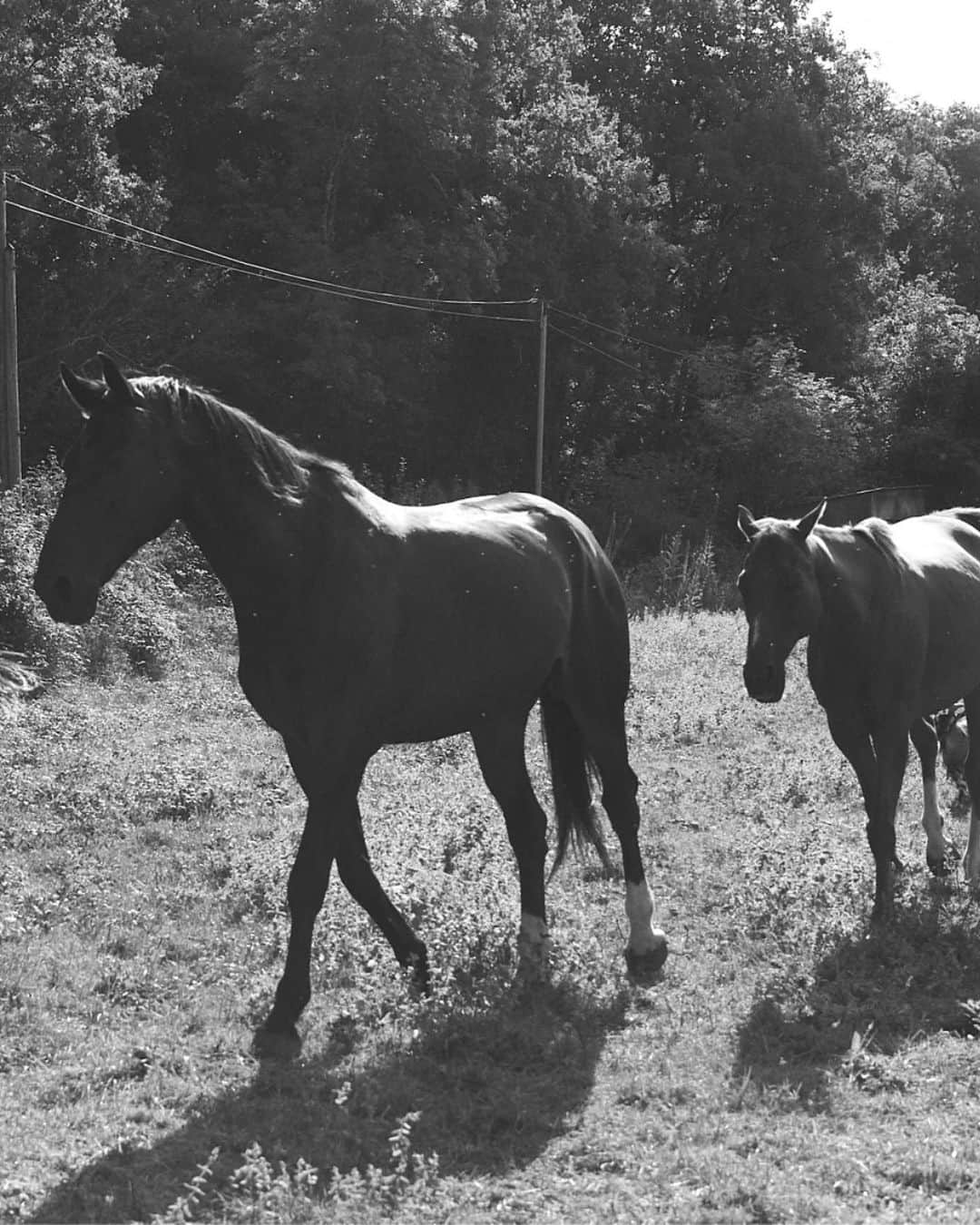 デンハムさんのインスタグラム写真 - (デンハムInstagram)「This is a story about authenticity. In this series, we highlight individuals who choose to live their truth. Meet Jean-Sebastien Pougnand. He traded the glitz and glamour of fashion for meadows and horses, investing his modelling earnings into realising his horse-riding dream. Visit @denham.com to read the full story about @jeansaybon.  #authenticallymadedenim」8月30日 16時28分 - denhamthejeanmaker