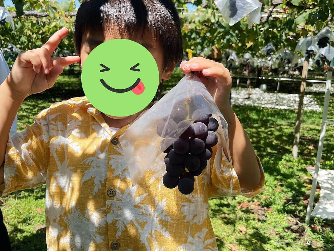 松本利夫さんのインスタグラム写真 - (松本利夫Instagram)「山梨にぶどう狩りへ🍇 ぶどうの屋根が一面 心地よく癒されました✨」8月30日 16時38分 - exile_matsu