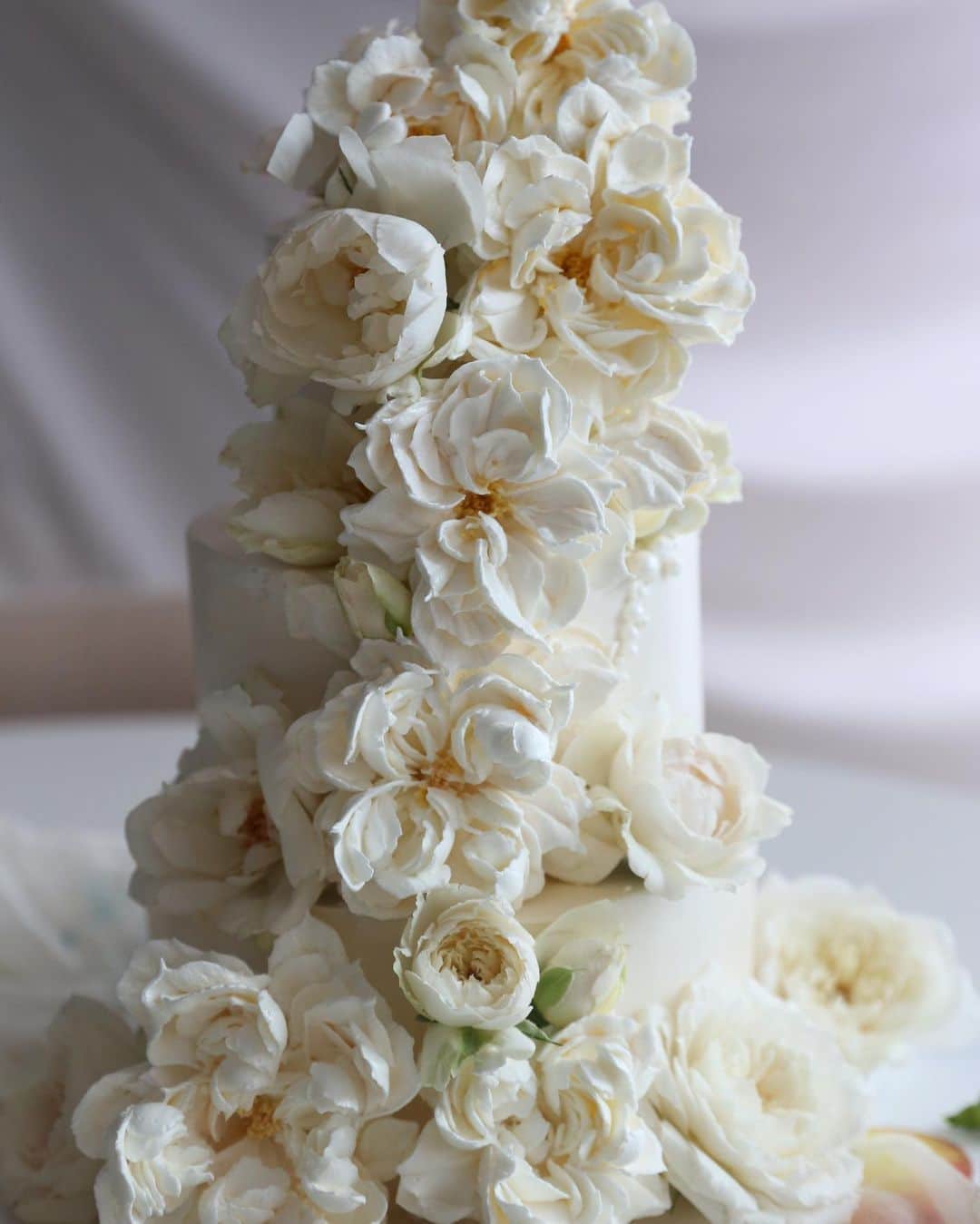 청담 수케이크 (atelier soo)さんのインスタグラム写真 - (청담 수케이크 (atelier soo)Instagram)「ㅡ  Wedding rose   #buttercream #weddingsoo💕」8月30日 16時50分 - soocake_ully