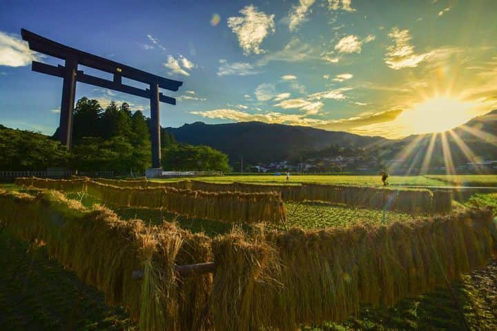 和みわかやまのインスタグラム：「. 熊野本宮大社の旧社地 大斎原の前に広がる畑では、稲が刈られ季節が秋に変わっていくことを感じることができますよ～🍂🧡  📷：@kazz1109 📍：熊野エリア 田辺市  和歌山の写真に #nagomi_wakayama のハッシュタグをつけて投稿いただくと、その中から素敵な写真をリポストします😉 . . . #和歌山 #和歌山観光 #和歌山旅行 #わかやま #和みわかやま #wakayama #wakayamajapan #wakayamatrip #wakayamatravel #nagomi_wakayama #wakayamagram #熊野本宮大社 #大斎原 #稲刈り #鳥居 #熊野古道 #harvest #japanesetradition #fallinjapan #autumninjapan #旅行 #国内旅行 #旅行好きな人と繋がりたい #観光 #travel #trip #travelgram #japan #travelphotography」