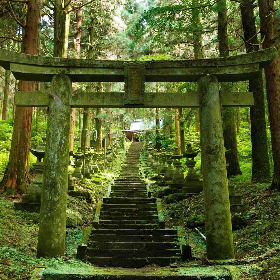 九州電力さんのインスタグラム写真 - (九州電力Instagram)「美しい杉並木の参道⛩🌳 . 熊本県阿蘇郡高森町にある『上色見熊野座神社（かみしきみくまのざじんじゃ）』は、伊邪那岐命（イザナギノミコト）と伊邪那美命（イザナミノミコト）を祀る神社です。 . 参道沿いには97基の石灯籠が並び、深い緑色の杉林と差し込む光がとても幻想的な雰囲気です🌳 . ----------------------------------------------- 上色見熊野座神社 住所：熊本県阿蘇郡高森町上色見2619 アクセス：南阿蘇鉄道高森駅より車で10分 駐車場：あり ----------------------------------------------- ※写真提供：高森町政策推進課 ※写真は過去に撮影されたものです。 . お届けする九州の風景が、皆さまの元気や癒しになれば幸いです☘️  #九州電力 #熊本 #上色見熊野座神社 #阿蘇 #神社 #神社仏閣 #自然 #神社巡り」8月30日 17時00分 - kyuden_official