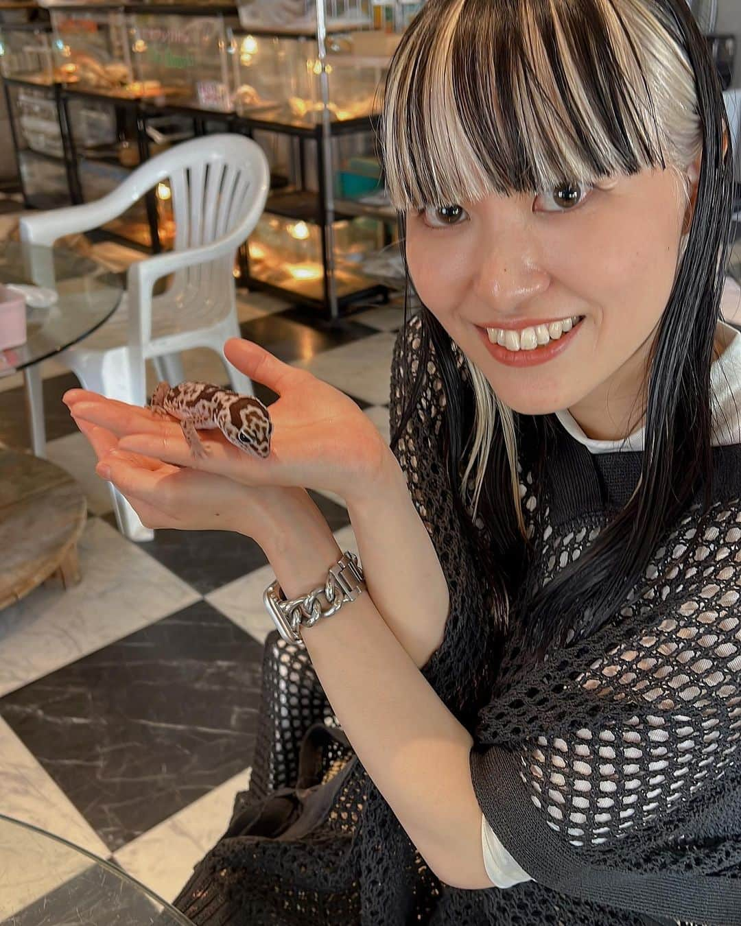 瀧本芹奈さんのインスタグラム写真 - (瀧本芹奈Instagram)「🦎🐍  行ってみたかった爬虫類カフェ🫶🏻  昔は怖い🙄ってイメージだったけど ロアくんがうちに来てから 動物全般、生き物も大好きに♡♡ でも蛇さん🐍のキングくんはまだ怖かった🥹 トカゲのケンバンちゃん🦎は手の中で寝てくれて可愛すぎた！  着いてきてくれる人もレアだけど、 いつもいろんなしたいこと叶えてくれて有難う🫶🏻 私より余裕で手なづけてて凄い❣ってなった🙄 @179_m.a.n.a   #爬虫類 #爬虫類カフェ」8月30日 8時40分 - serina_takimoto