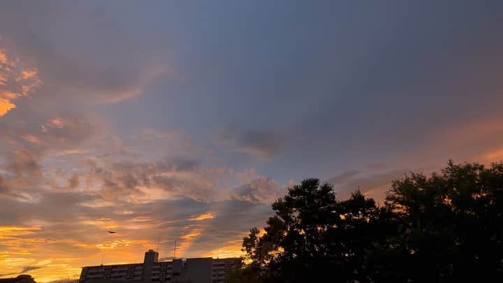 唐津裕美のインスタグラム：「5:20am、キレイな朝焼けを屋上から。 今朝の東の空。 さいごに飛んでく鳥さんが良いわー🐦‍⬛  #truck東の空 #trucknest」