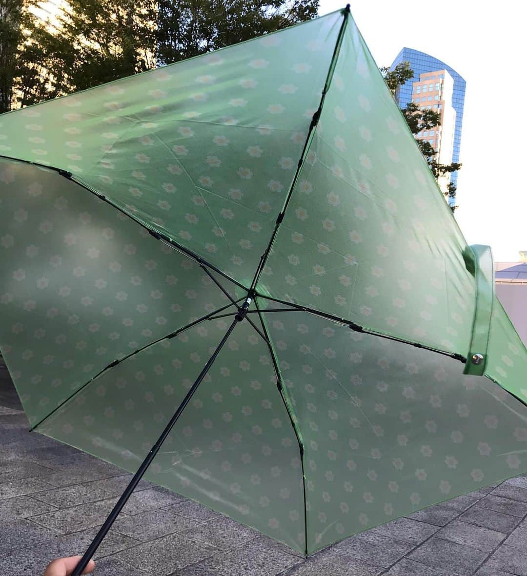 葵さんのインスタグラム写真 - (葵Instagram)「夏が終わるのにまだまだ紫外線は強し！ しかもゲリラ豪雨も避けられない！ ということで、 estaaの折り畳み傘を使ってます！ @estaa_official  可愛いだけじゃなく、とっても使いやすい便利機能バッチリ👌 雨傘として、日傘として使えるよ！  素材がTPUの特徴で、ポリエステルのメッシュ生地なため、きれいにたたまなくてもしわになりにくいんです！ 楽々開け閉めができちゃう♡  しかも傘内の温度がすずしく感じる🎶 まだまだ九月も大活躍しそうです✨  #estaa #傘 #長傘 #折りたたみ傘 #日傘#日傘コーデ #日焼け対策#シミ対策#日傘女子#大人女子」8月30日 9時36分 - dolphin_coconut