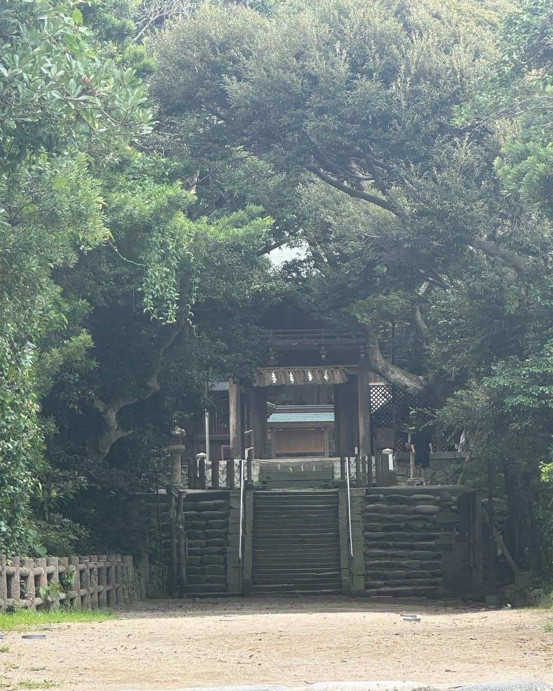 倉本康子さんのインスタグラム写真 - (倉本康子Instagram)「★ 〜ヤッコの酒旅〜 「中西食堂」@福岡県　志賀島(しかのしま)  博多から高速艇で30分(車でも行ける)の志賀島(しかのしま)。 国宝の金印が出土したところとしても知られていますが、もう一つ名物「さざえ丼」があるよ、と聞いたら行ってみたくなり、志賀島へ。  高速艇を降り3分程歩いた住宅街の中に「中西食堂」がありました。  早めに着いていたので、並ぶこともなくお店へ。  中西食堂を守っているのは地元の方でしょうか、お姉さん達数名がいらして、皆さん明るい！優しい！笑顔！  さざえ丼前に、さざえを1ついただき、ビールを頼むと、お通しとして肝がついてきました🤩そりゃぁもぅ美味なわけです！  焼きさざえは、肝の先端まで綺麗に取れる！(ようにしてくれているのかな？) そして、なんちゅうおいしさよ！ 口中旨味の大洪水でした！！！ プリプリリプリプ🤩 「スープも美味しいから飲んでみてね」とお姉さんのご提言でスープも飲み干しました🤩  そして名物さざえ丼！(ちょいケチって、並にしたけど、さざえ特盛バージョンもあるようでしたよ！) さざえがふんだん！卵の半熟具合も最高！ なかなか食べれるものじゃないですよね。  お店は確か50年以上と伺いました。 長きに渡り、みんなを喜ばせてきているんだから、すごいです！ お店のお姉さん達の感じの良いこと！ お忙しいのに、すごいです！  さざえ丼を食べる為だけに志賀島に渡る価値あり！ 少し足を伸ばせば、パワーを感じる志賀島神社もありますよ！  NO ALCOHOL, NO LIFE !!  #ヤッコの酒旅 #noalcholnolife #世界酒場遺産 #酒場 #居酒屋 #中西食堂 #さざえ丼 #志賀島 #しかのしま #shikanoshima #福岡 #fukuoka #バー #酒旅 #倉本康子 #かんぱいでーす #乾杯でーす #やっこ持ち #ヤッコ持ち #アラフィフファッション #アラフォーファッション #ootd #カジュアルコーデ #fashion #fashioncordinate #izakaya #beer #私が決めた世界酒場遺産 #幸せにした人数 #幸せにした時間」8月30日 9時57分 - yasuko_kuramoto_yakko