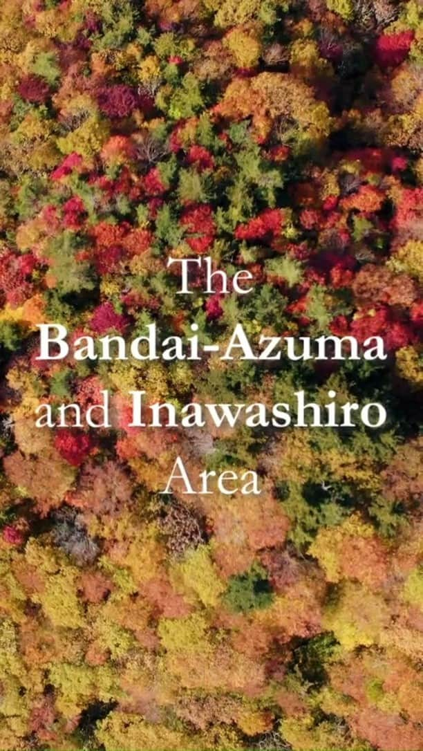 日本の国立公園のインスタグラム：「Fall colors cascade down the mountains, meeting the lakes at their shores in the Bandai-Azuma and Inawashiro Area of Bandai-Asahi National Park. Breathtaking scenery, hot springs, and activities such as trekking, canoeing, and cycling create precious memories of being connected to nature.   Where the Lakes Meet the Mountains」