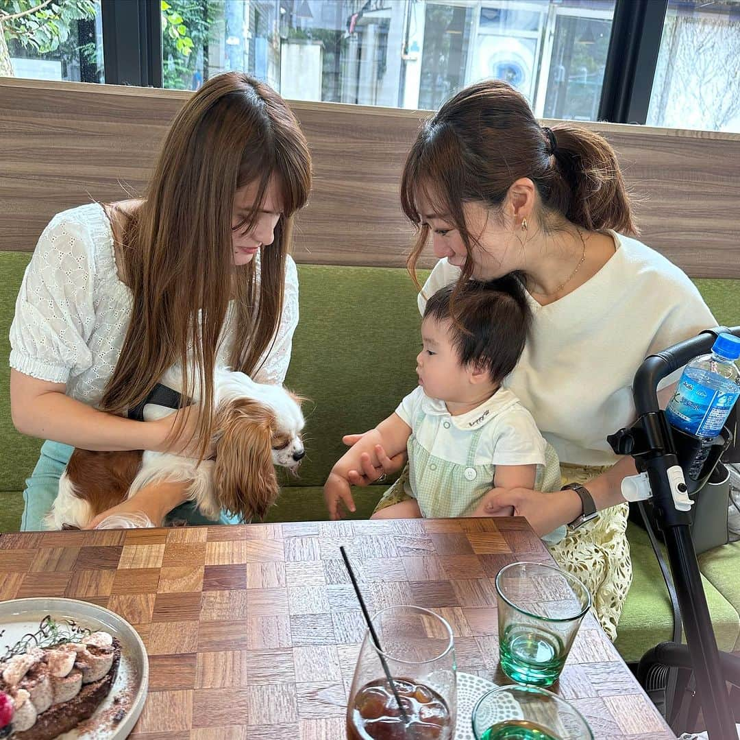 綾瀬羽乃(あーは)さんのインスタグラム写真 - (綾瀬羽乃(あーは)Instagram)「(((右に何があるの🐶👶？？))) 集合写真も上手になってきました♡  わんこ&ベビー&キッズと 美味しい料理🍝癒しでしかない会🤤👍✨✨  @evergreen_cafe_ebisu は、お犬さまもベビーカーも店内OKなので、暑い日でも涼しく過ごせるよ〜♪  ガーデンプレイスへ向かう歩く歩道から行くと暑いお外時間が少なくて済む🙆‍♀️  カチョエペペ🍝美味しくてぺろり チーズと胡椒のパスタ！ カチョエペペ！！！！覚えた！！  ちゃおりhappy birthday💋 なんやかんやで #アラサーの会 定期的に会える喜びです🤤❤️  今日もあなたにはっぴーあれ🫶  #ランチ #エビージョ#女子会#女子会ランチ #ベビーカーokカフェ #恵比寿 #恵比寿ランチ #恵比寿グルメ #恵比寿カフェ #恵比寿犬連れok #恵比寿犬okカフェ#パスタランチ#子連れランチ#子連れカフェ」8月30日 10時02分 - ayasehano