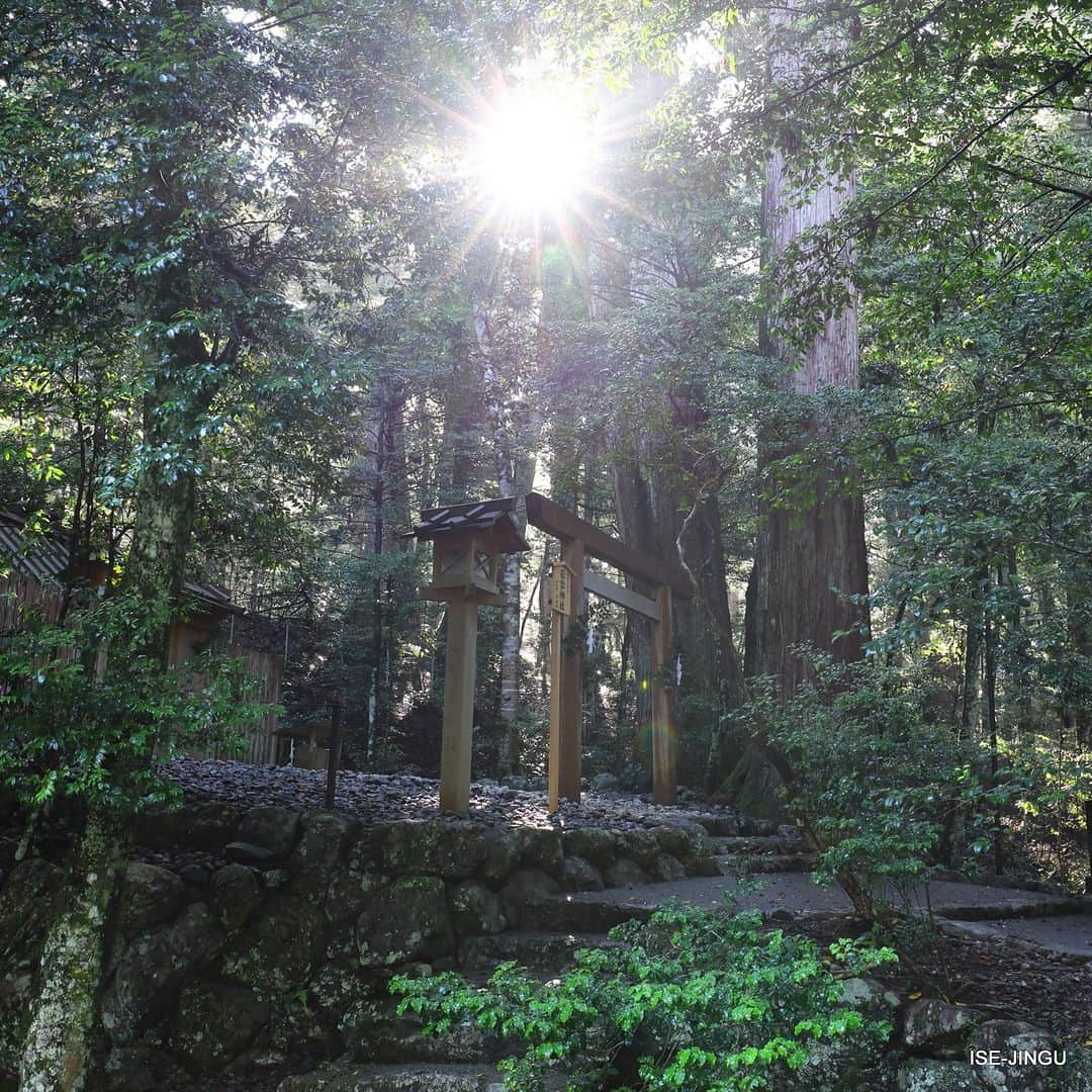 伊勢神宮のインスタグラム：「#伊勢神宮 #神宮 #神社 #心のふるさと #若宮神社 #所管社 #神宮125社 #瀧原宮 #度会郡大紀町 #isejingu #jingu #soul_of_japan #japan #jinja #shinto #wakamiya_jinja」