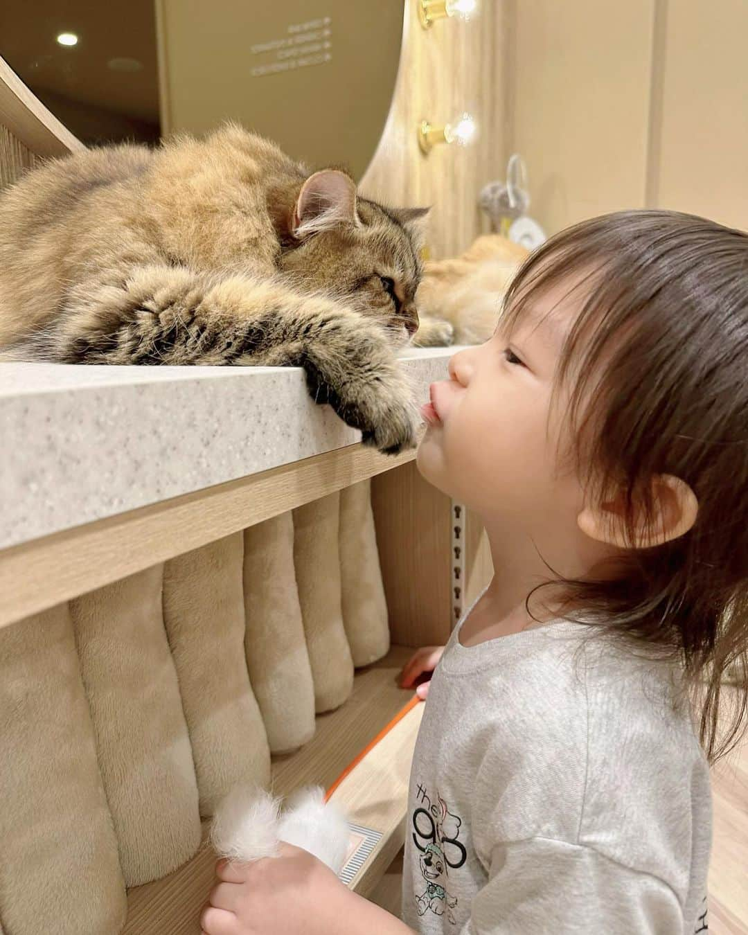 川島菜月のインスタグラム：「. . . 初猫カフェ🐈‍⬛ . 娘はアイスを速攻かじられて一瞬で終了〜😂😂😂 . 息子はアイスを舐めるねこちゃんよりゲームに夢中でしたわ！ . . . #猫カフェ　#岡山イオン」