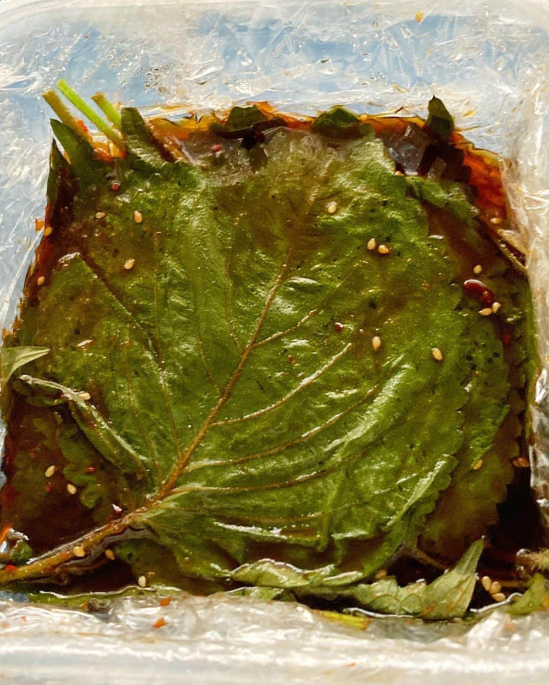 成松修さんのインスタグラム写真 - (成松修Instagram)「ケンニップ(エゴマの葉の醤油漬け)作りました。  昔からケンニップが大好きで15年くらい前に韓国料理屋でバイトしてた時にオモニがいつも作ってお土産にくれてた。  最近近所の八百屋でエゴマの葉を見つけたので作ってみました‼️ めちゃくちゃ美味しくできたよ。  醤油、すりおろしニンニク、コチュジャン、酒、鮭醤油、韓国唐辛子、ごま油、炒りごまでタレを作って1日エゴマの葉を漬けたら完成‼️  ご飯がすすむよ。  #ケンニップ #エゴマの葉 #エゴマの葉の醤油漬け #手作りケンニップ #韓国料理 #料理部 #cooking #actor」8月30日 12時31分 - ore_osamu