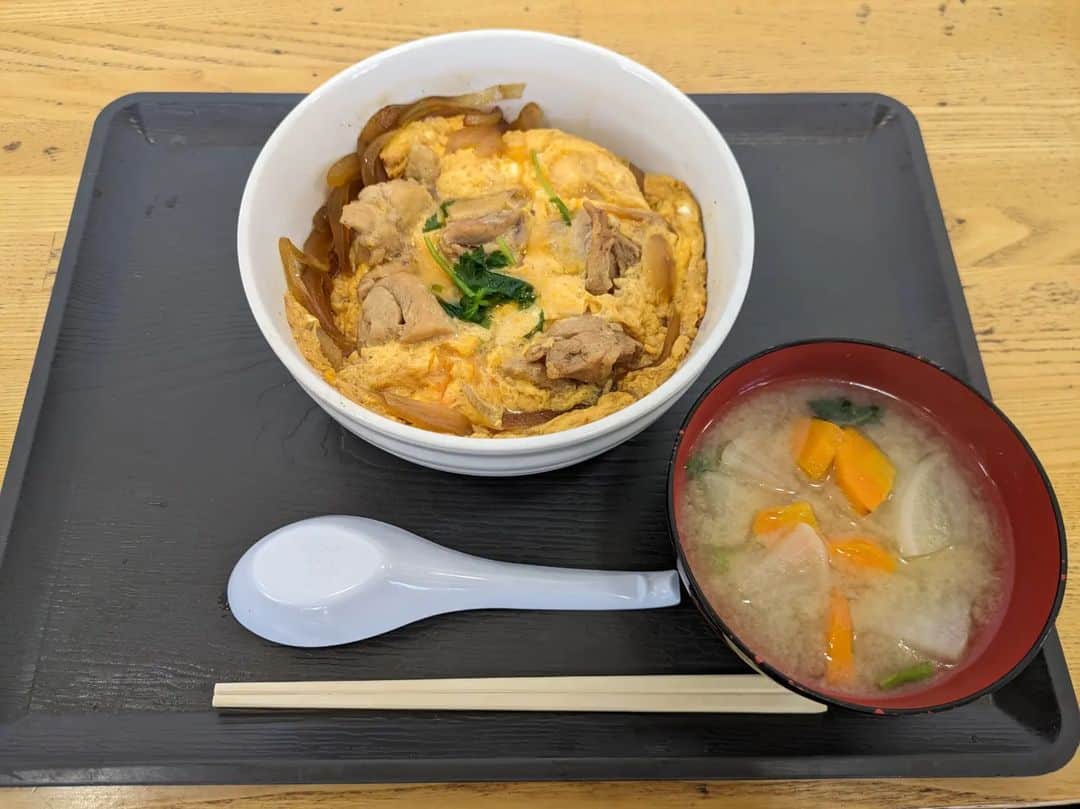 大和ヒロシさんのインスタグラム写真 - (大和ヒロシInstagram)「今日の昼食は #味楽囲さだもと店 の中に在る御食事処にて親子丼。  濃口の味付けでも、はっきり解る鶏と卵の旨味。 美味しんぼの呪が解け切らない私には三つ葉もまた嬉しいです。 #JAきみつ #君津市」8月30日 12時33分 - yamatohiroshi