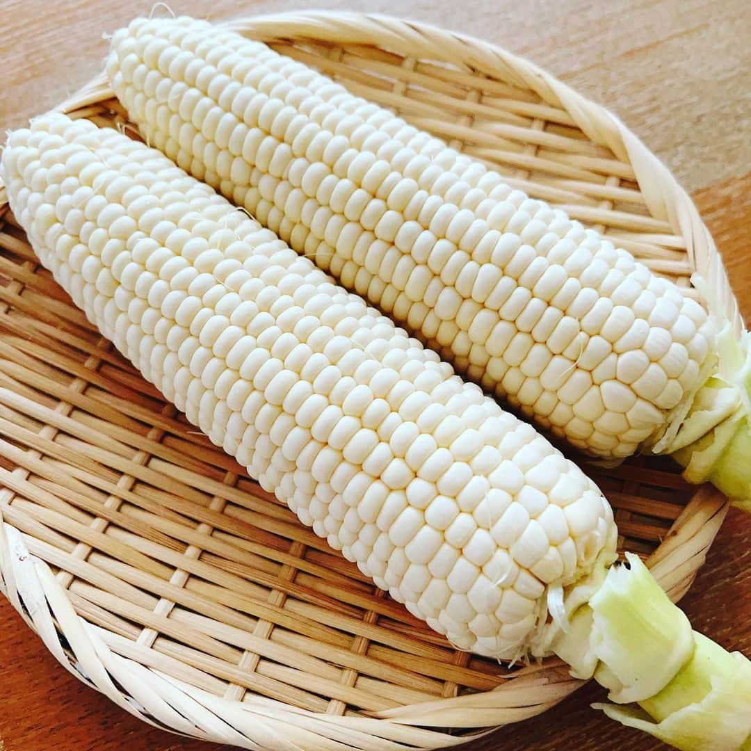 梅津有希子のインスタグラム：「今朝のとうきび🌽 北海道の「シャイニングコーン」。  白っ！！！  生でも食べられる、メロン並みの糖度を誇るとうきび。道産子なので「とうもろこし」って言えない笑。  あまーーーいとうきびを食べ終え、本日夜は、某企業に呼ばれた社内講演会に登壇。新幹線で現地に向かい中。  テーマは「ブラバン甲子園大研究」。  って、それ仕事の役に立つんかい？笑  無理やりビジネス風味にパワポ作ったけど、果たしてこれでいいんだろうか。  役に立つかはわからんが、楽しい1時間にするぞー！😀🎺⚾️」