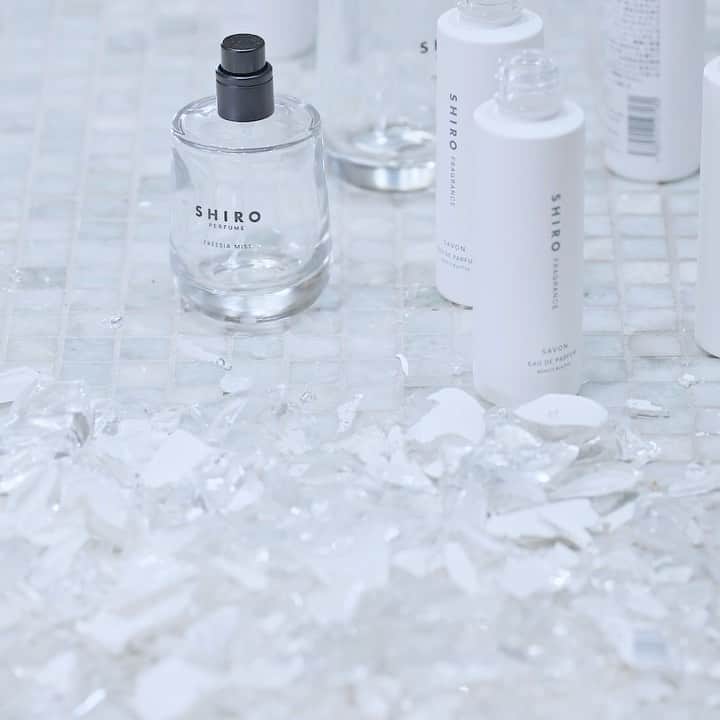 shiroのインスタグラム