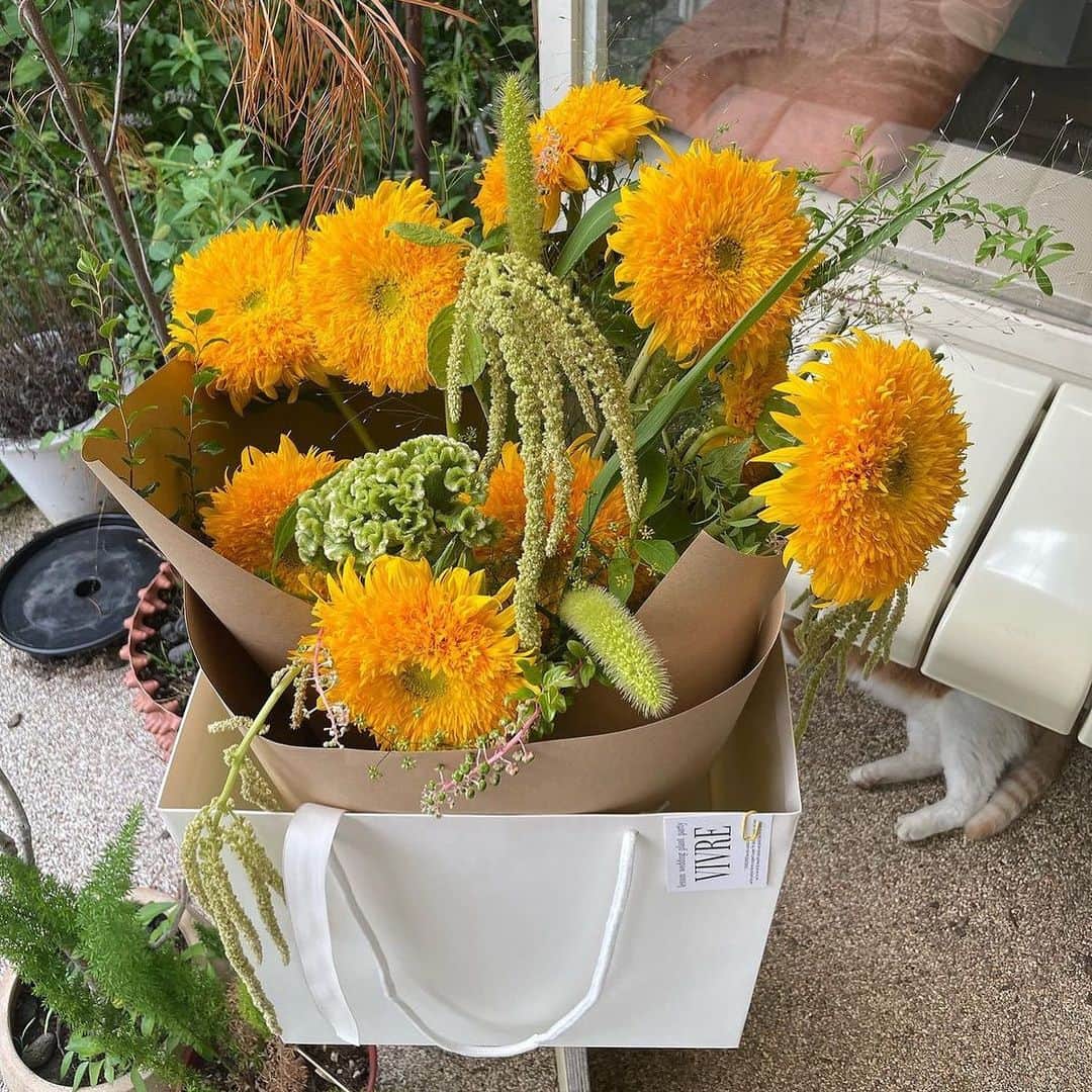 横山紗弓のインスタグラム：「🌻」