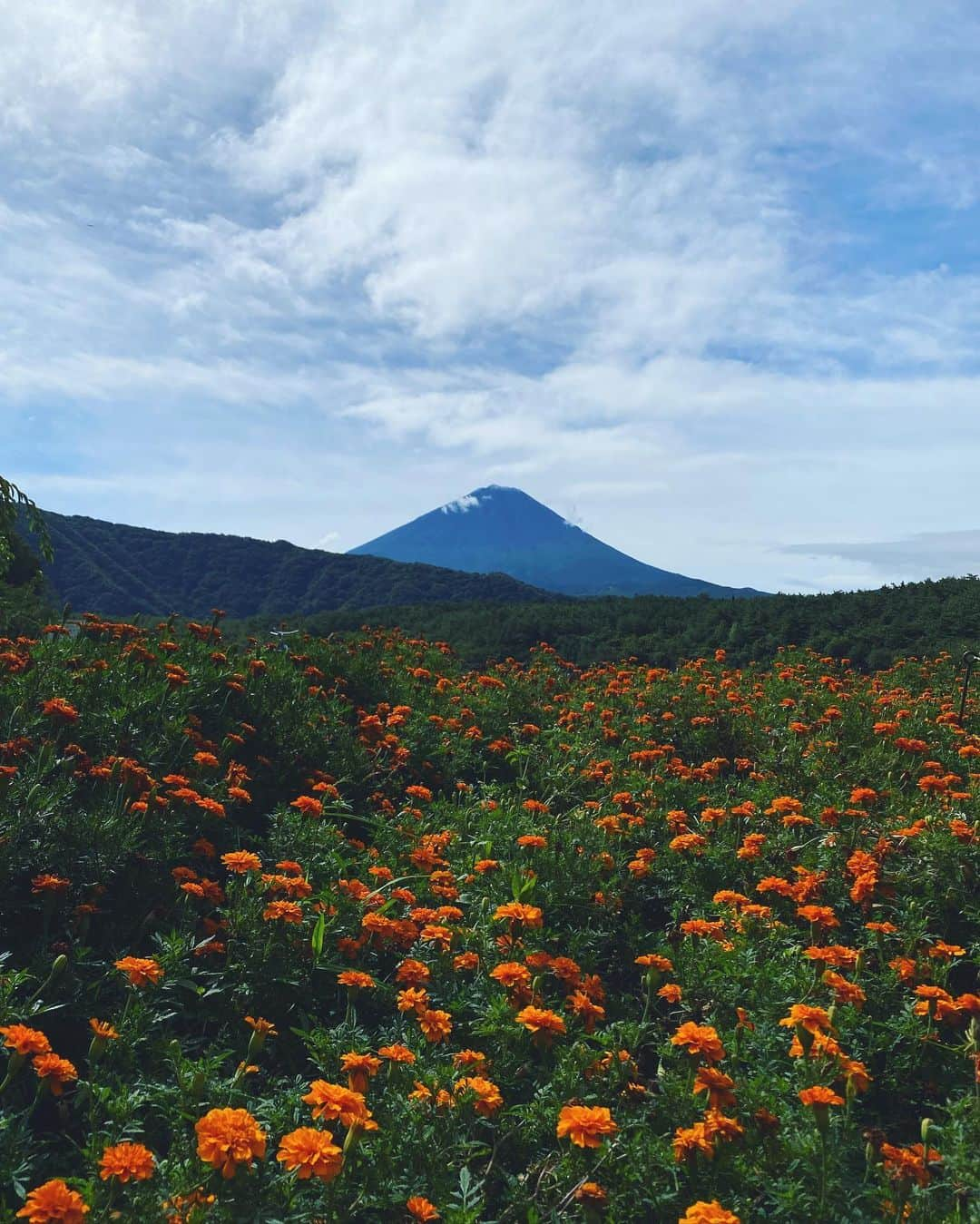 ブレンダのインスタグラム：「久しぶりFuji sama 🙌🏼 A really nice way to spend the last days of summer🧡🧡🧡」