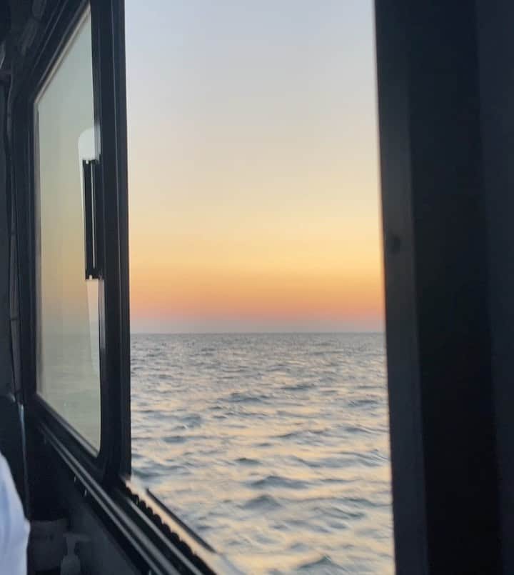 サラ・ラミレスのインスタグラム：「Thanking you for making my 47th year a wild ride I won’t soon forget with a photo dump that’s mostly pics and videos of my dog Mio.  PART 16」