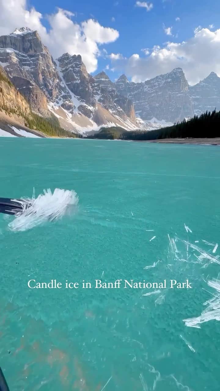 Earth Picsのインスタグラム：「@mddyelrck found candle ice in Moraine lake! Candlestick ice occurs when the sun melts thick layers of ice, usually covering bodies of water like lakes. The ice melts unevenly, creating a honeycomb pattern and forming column shapes. It’s sometimes called “rotten ice”.  The candlestick ice on Moraine Lake in Banff National Park marks the final remnants of cold winter before the arrival of warm summer weather. This change opens up opportunities for activities like hiking, climbing, and even canoeing without ice!  🎥 @mddyelrck  📍Moraine lake, Alberta, Canada 🇨🇦」